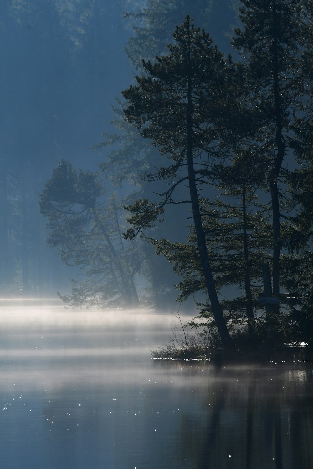 a foggy lake with trees in the background