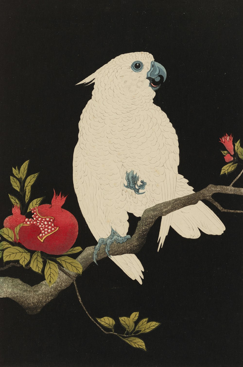 a white parrot perched on a branch with a pomegranate