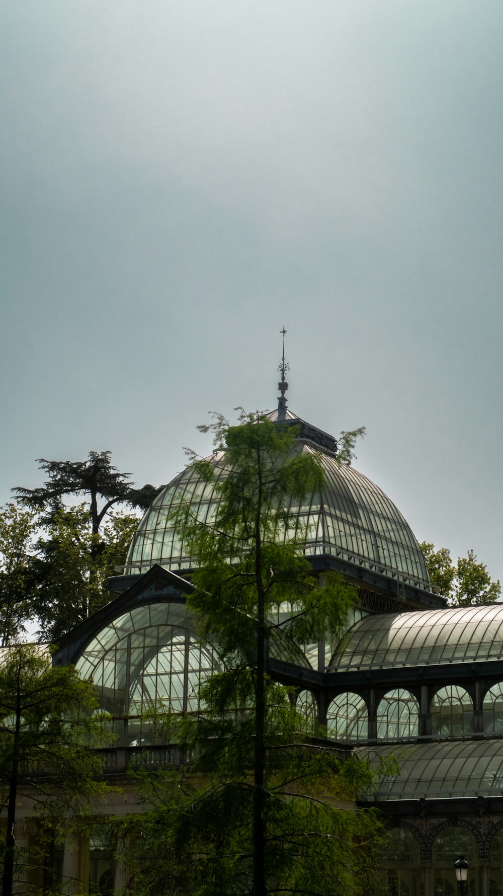 a large building with a glass roof surrounded by trees