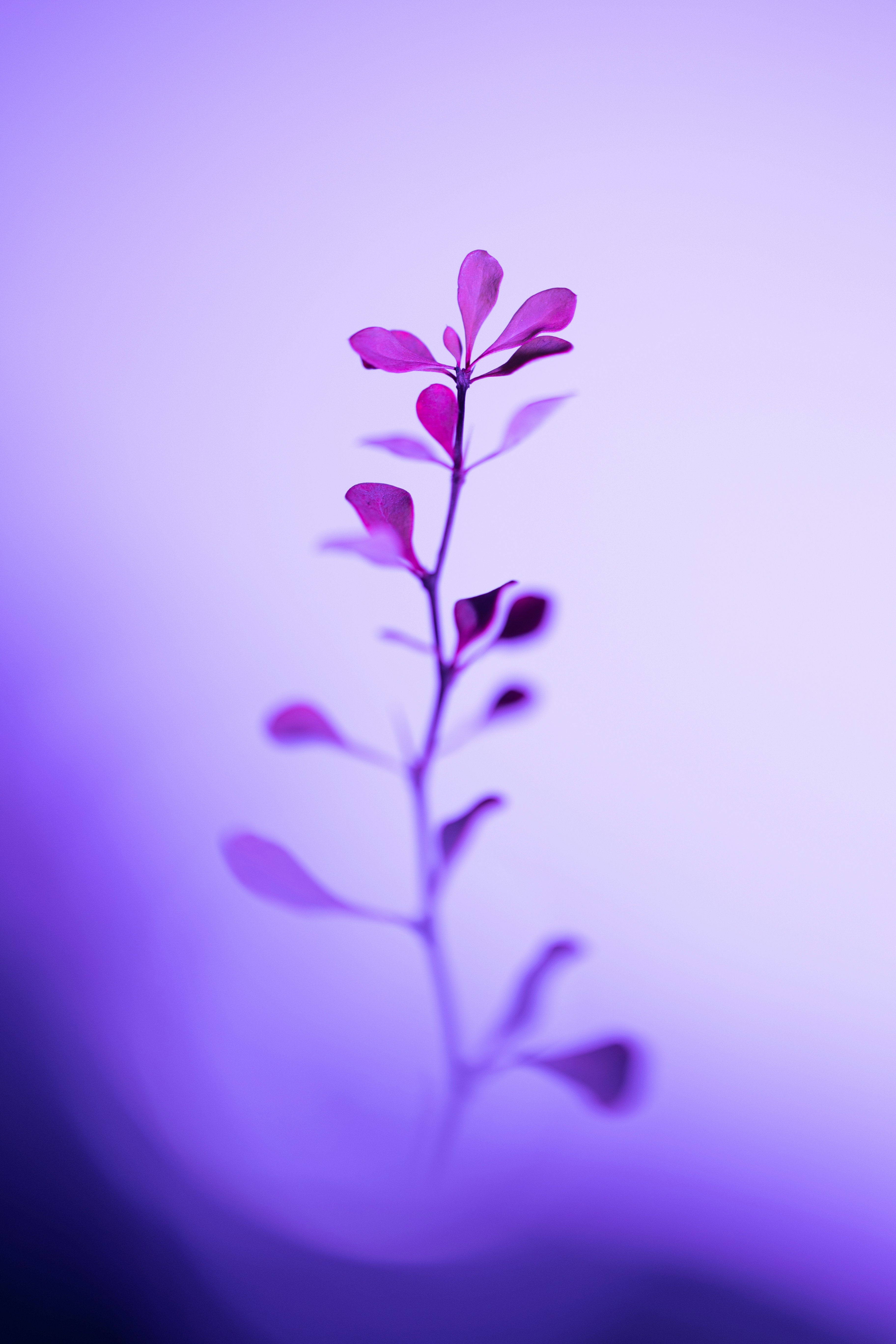 Photo by marekpiwnicki