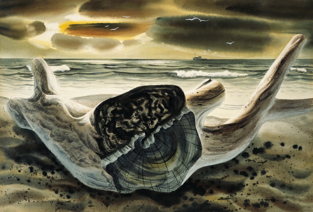 a painting of a shell on the beach