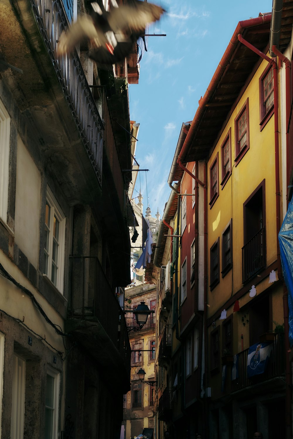 a bird flying over a narrow city street