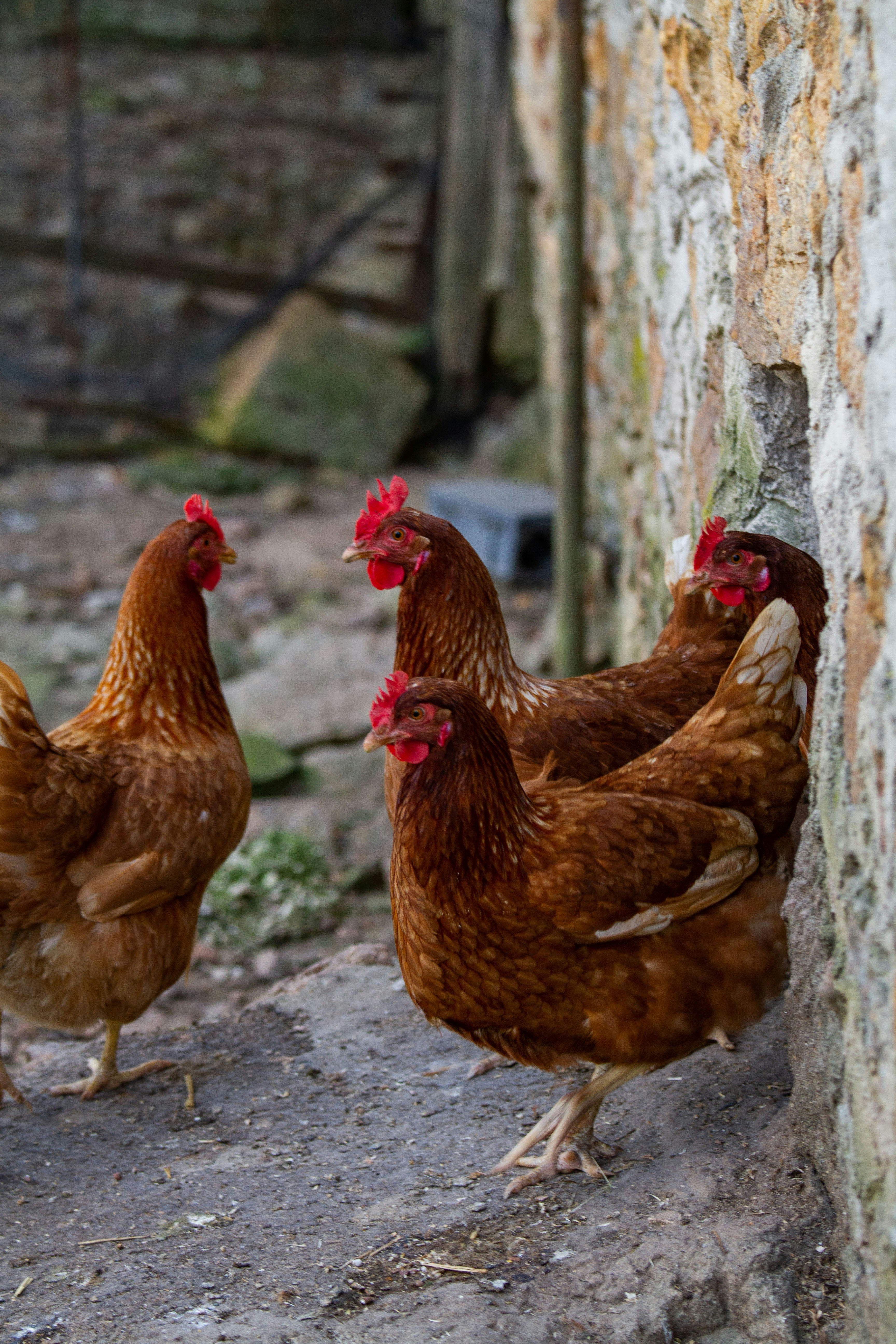 Photo by mattia_poli_04