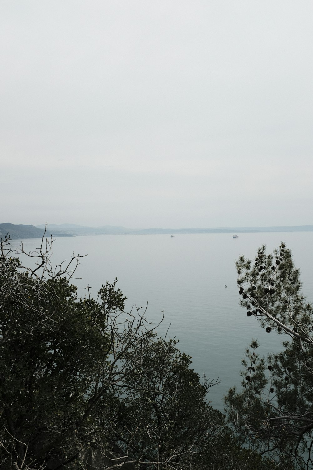 a view of a body of water with trees in the foreground