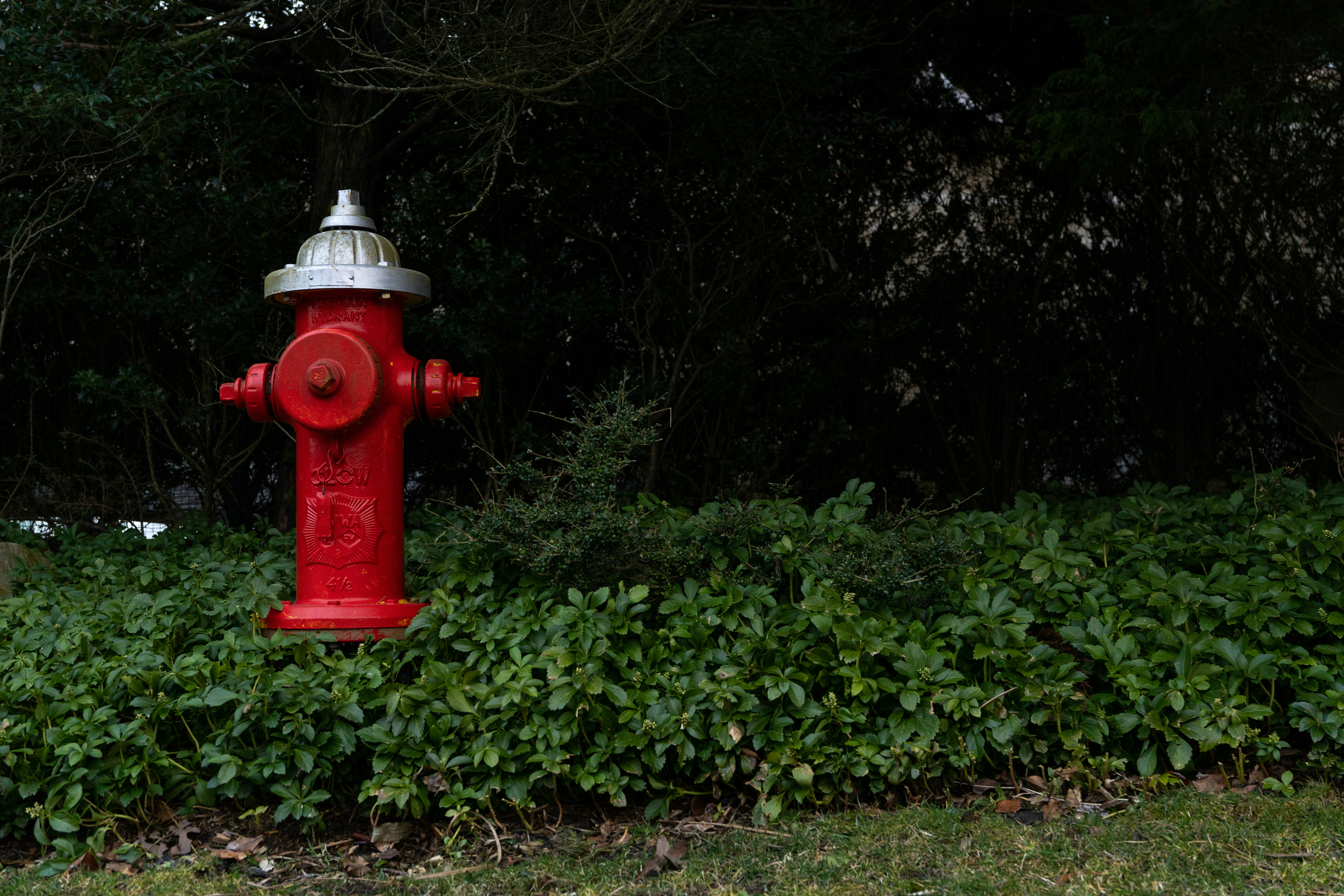 a red fire hydrant sitting next to a lush green bush