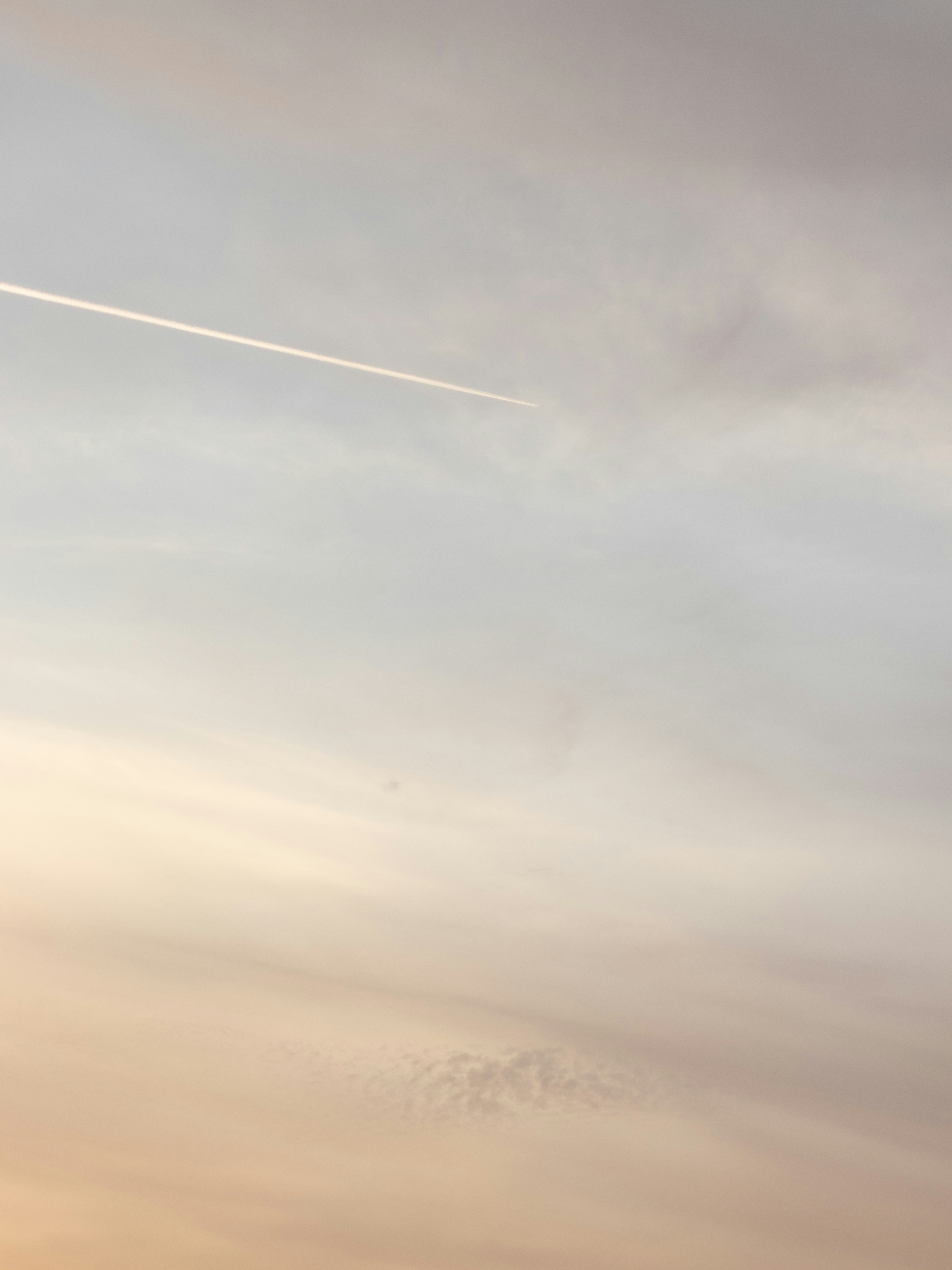 Photo by darynadudar