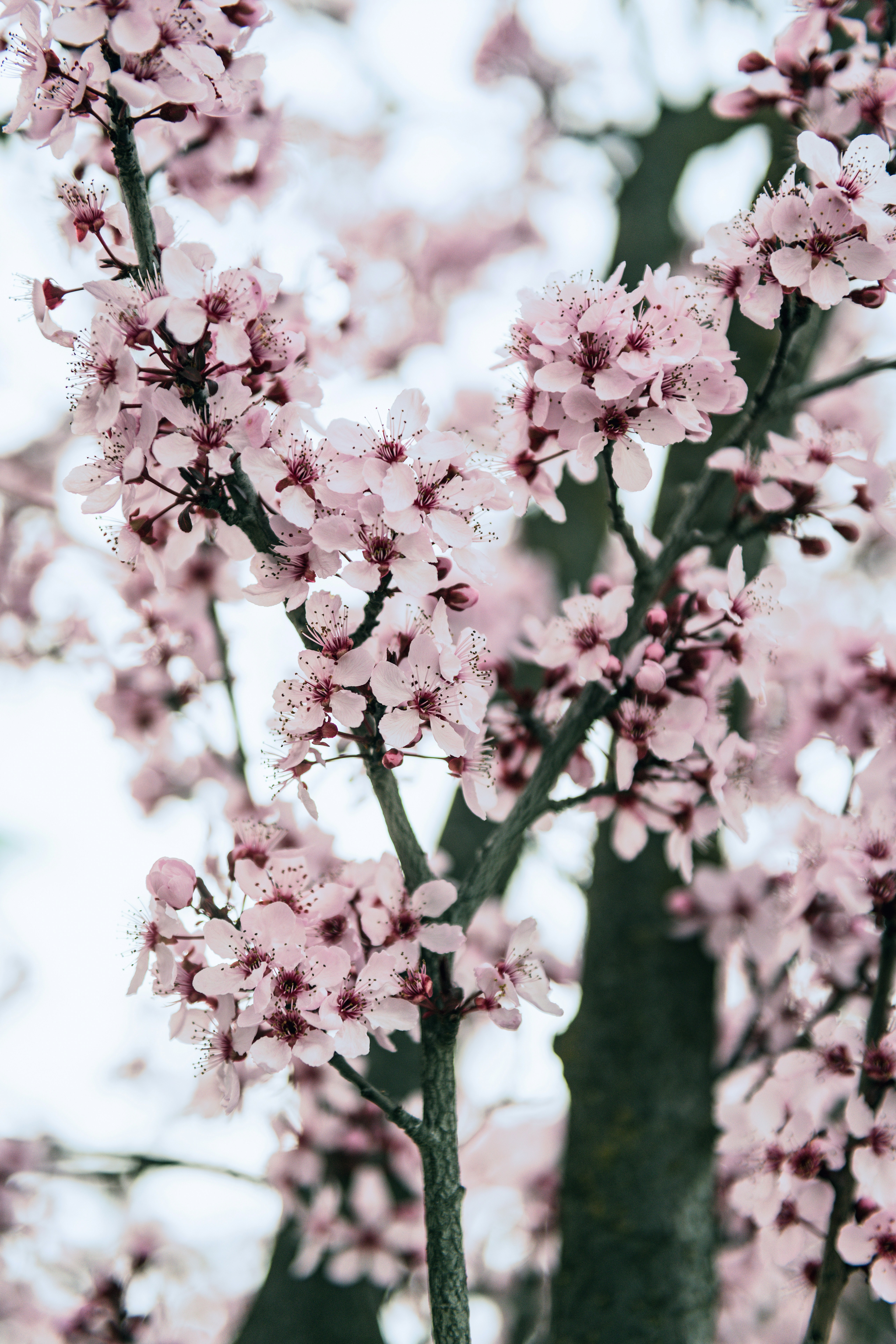 Photo by timmossholder