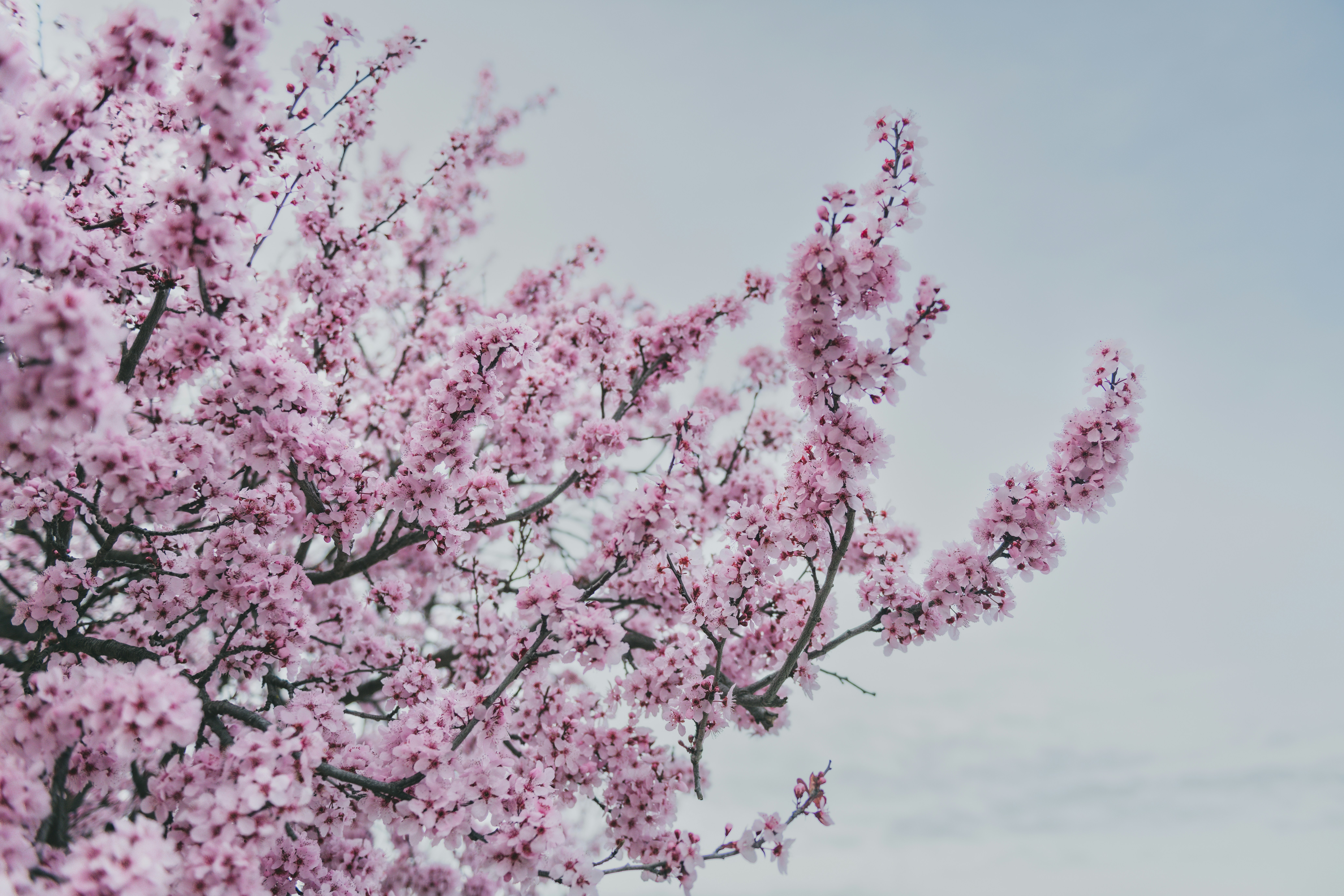 Photo by timmossholder