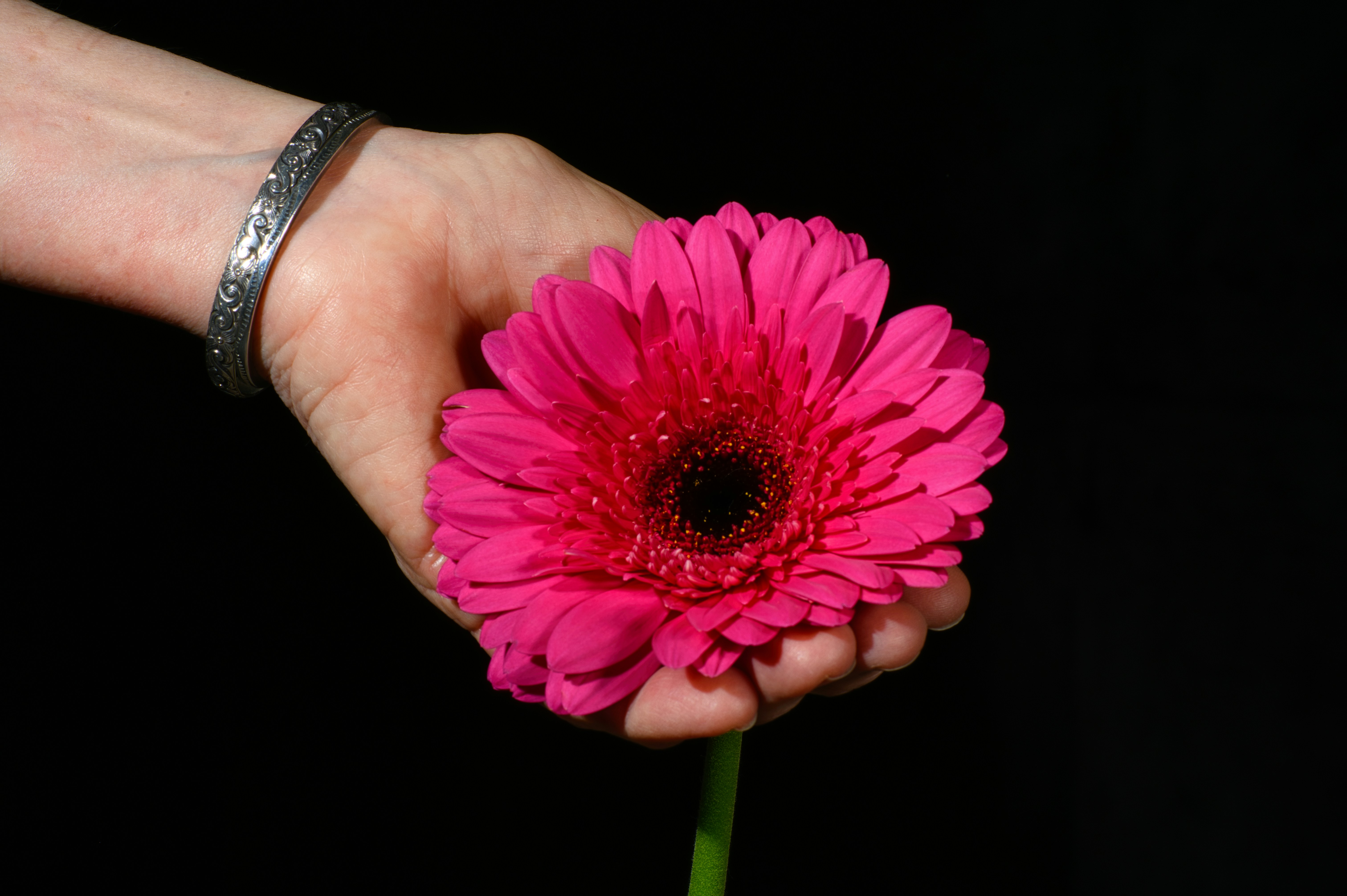 Nilüfer’de Meme Kanseri Farkındalığına Önemli Adım - Sağlık haberi görseli