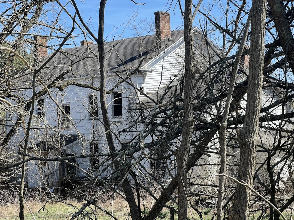 an old abandoned house in the middle of the woods