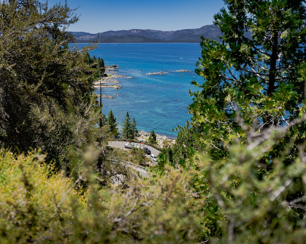 a scenic view of a body of water surrounded by trees