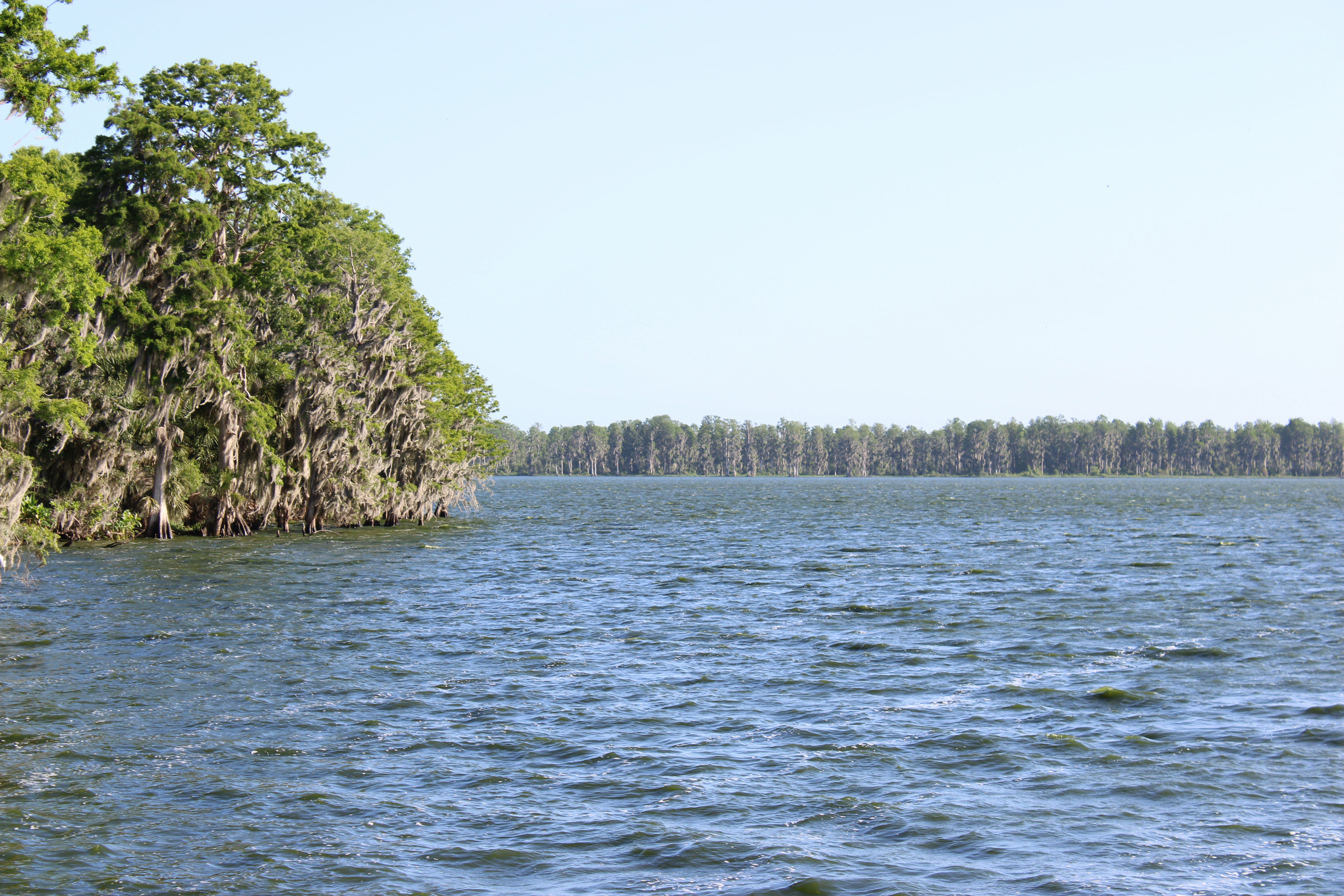 Photo by donaldmcfarling