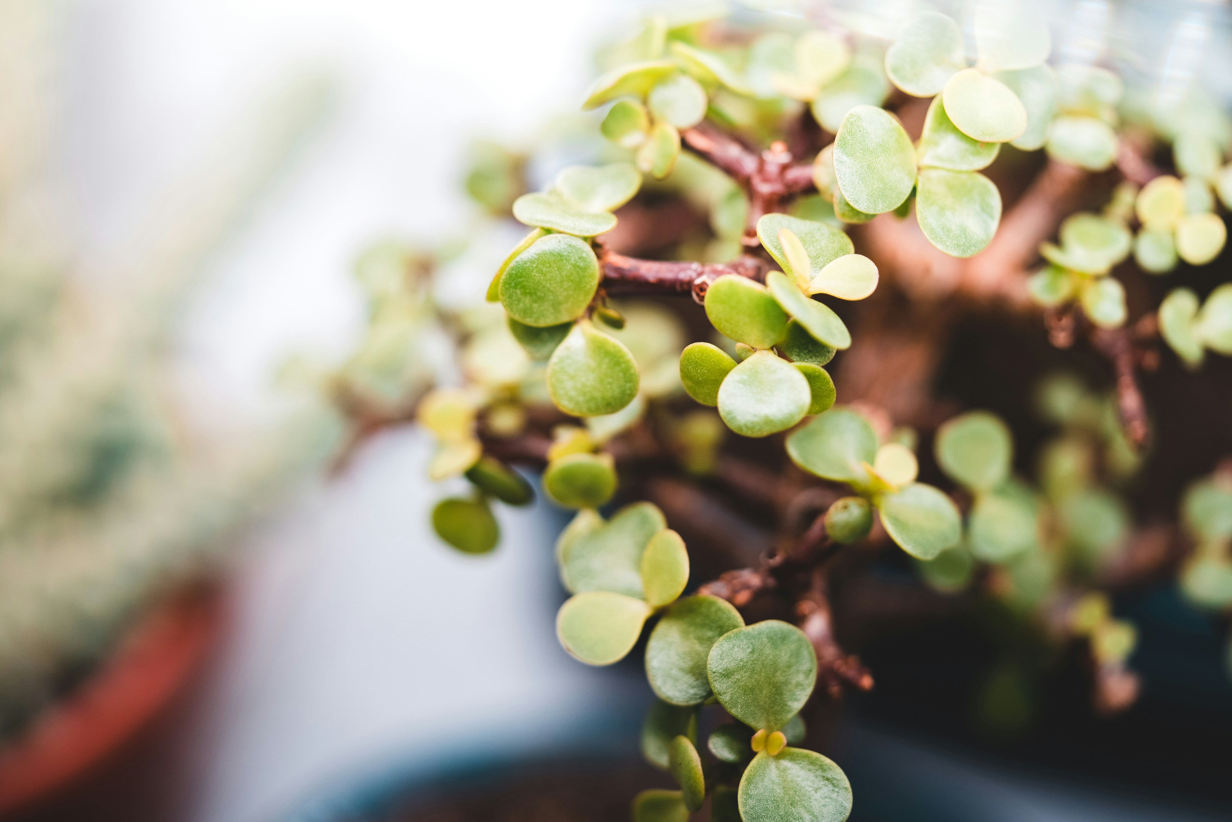 Photo by introspectivedsgn