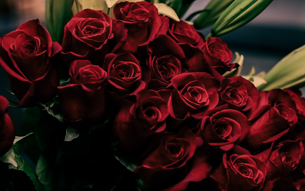 a bouquet of red roses with green leaves