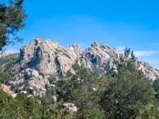 Rocky mountains rise prominently in the background, with various dense green trees populating the foreground and middle sections. The sky above is clear and bright blue, enhancing the scenery's natural beauty.