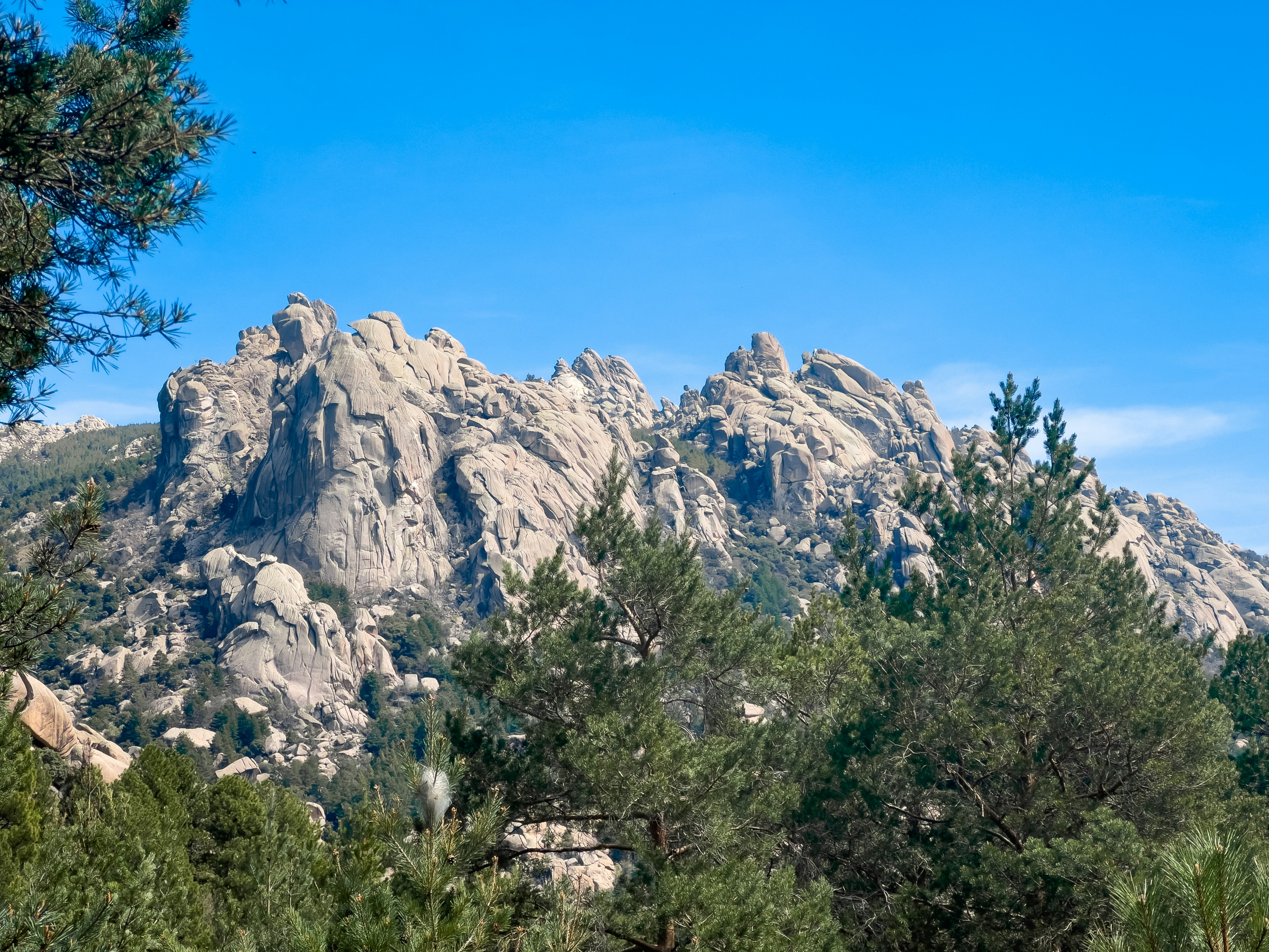 a mountain range with trees and rocks in the foreground
