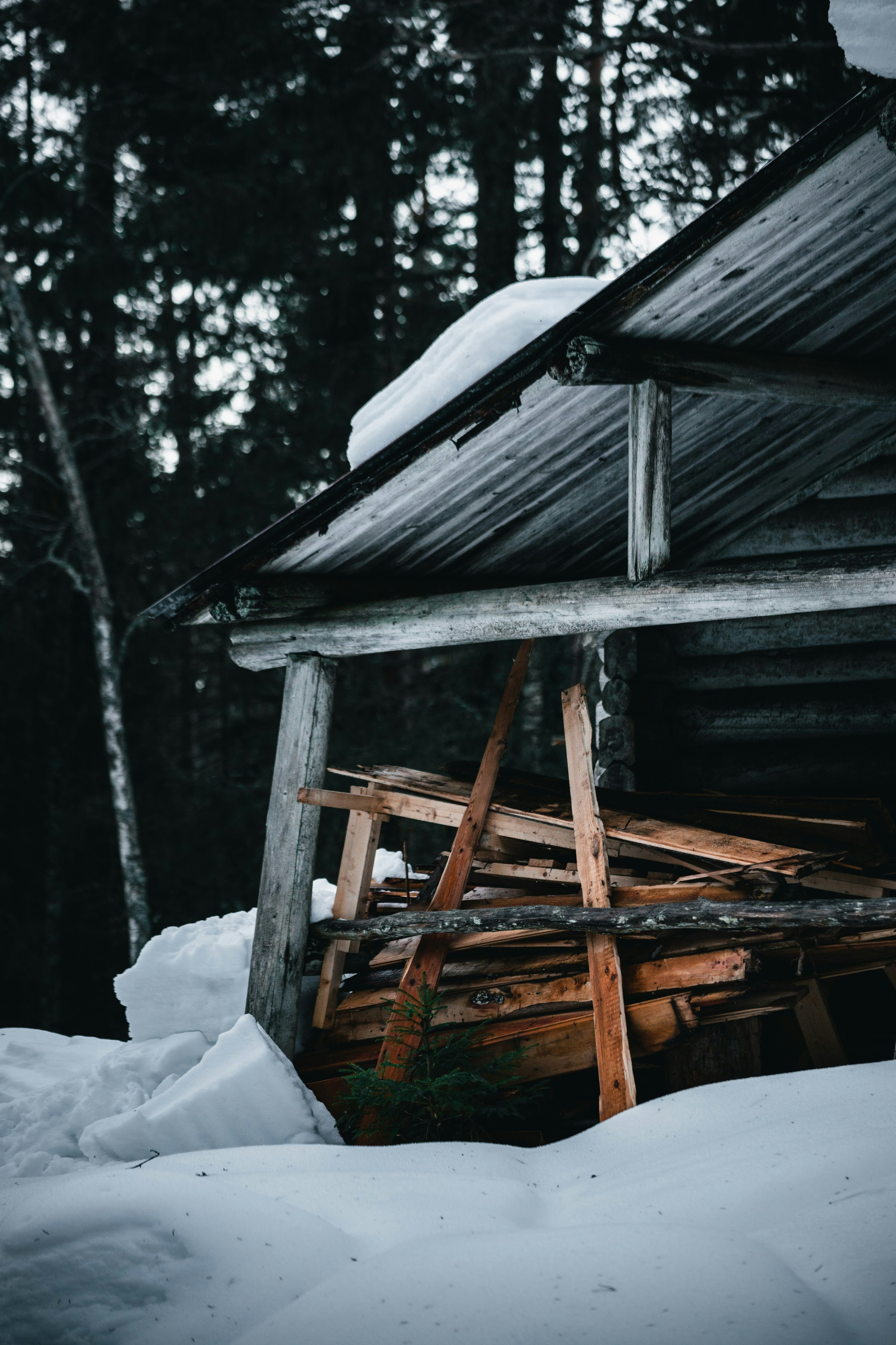 Photo by emil_karlsen