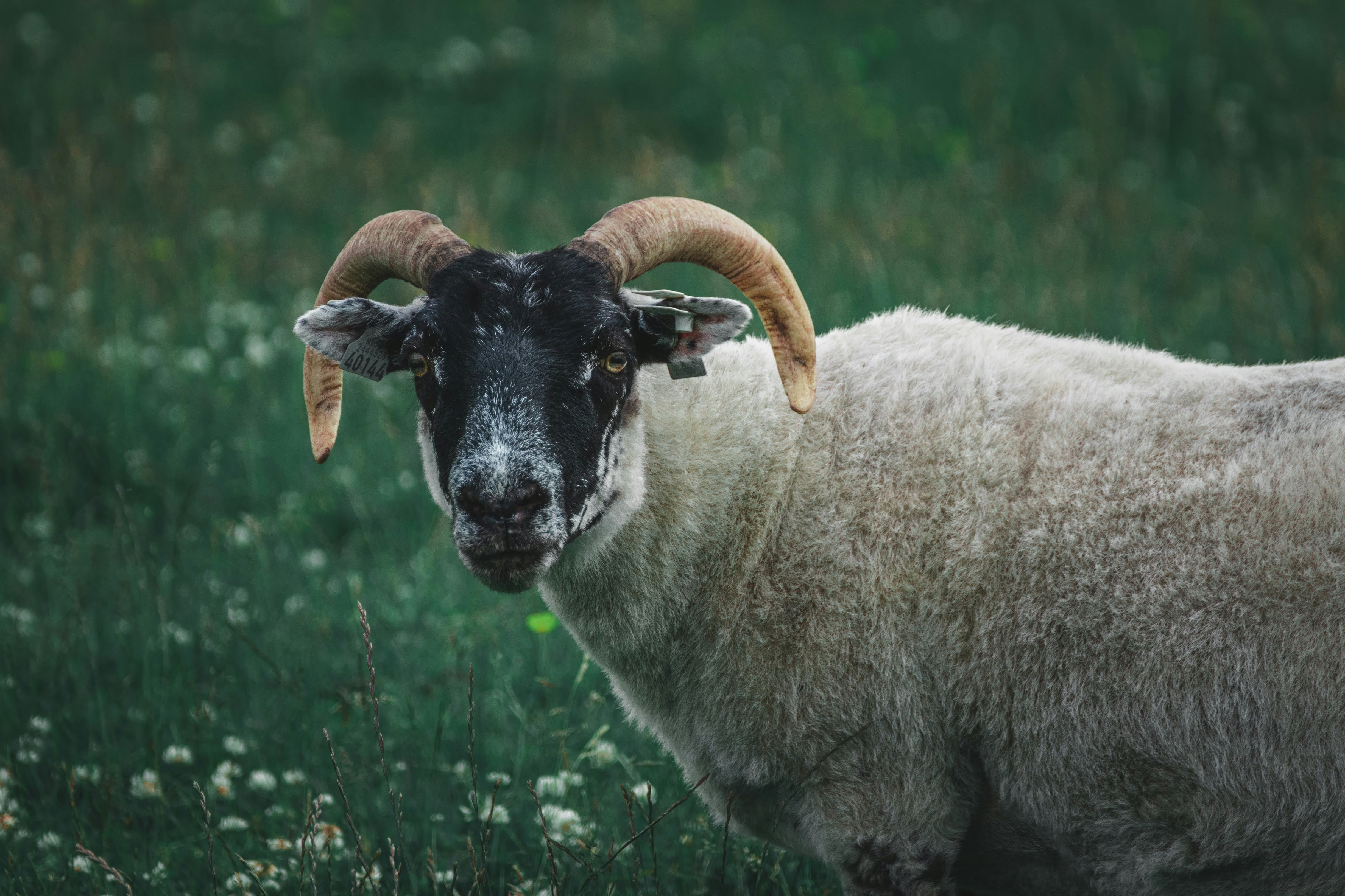 Photo by emil_karlsen