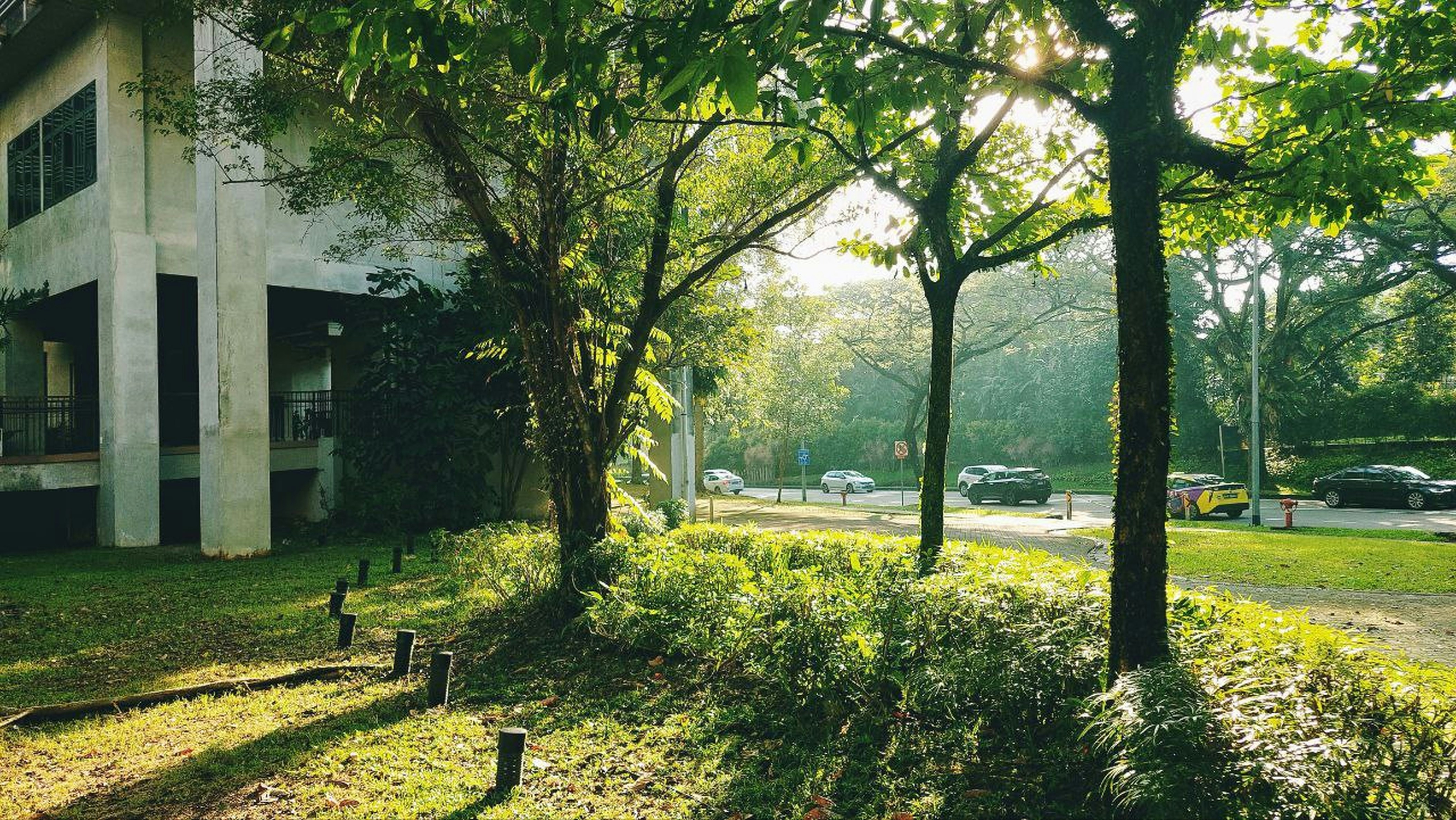 Photo by joylynn_goh