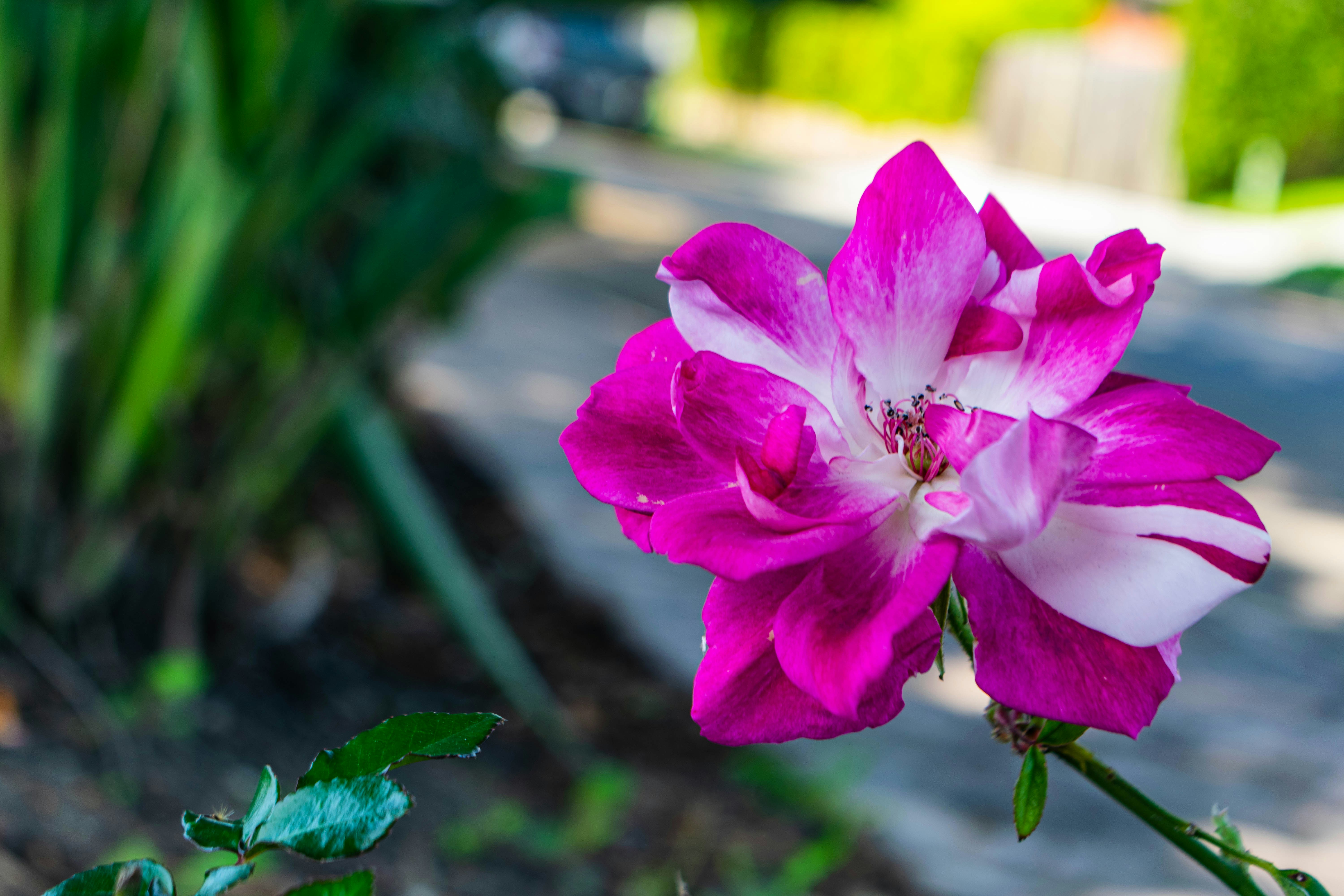 Photo by kwame_adufah