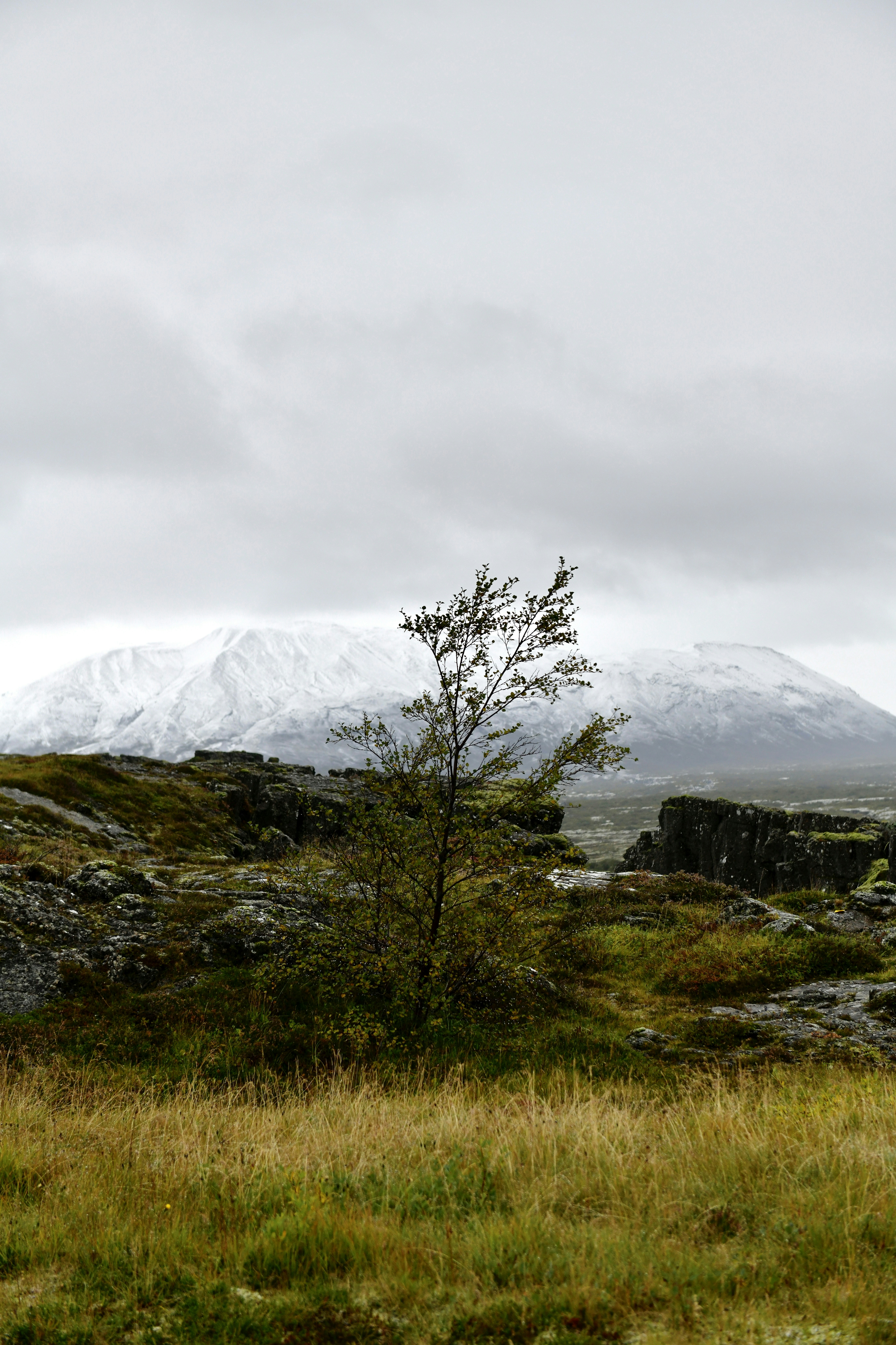 Photo by hlandkammer