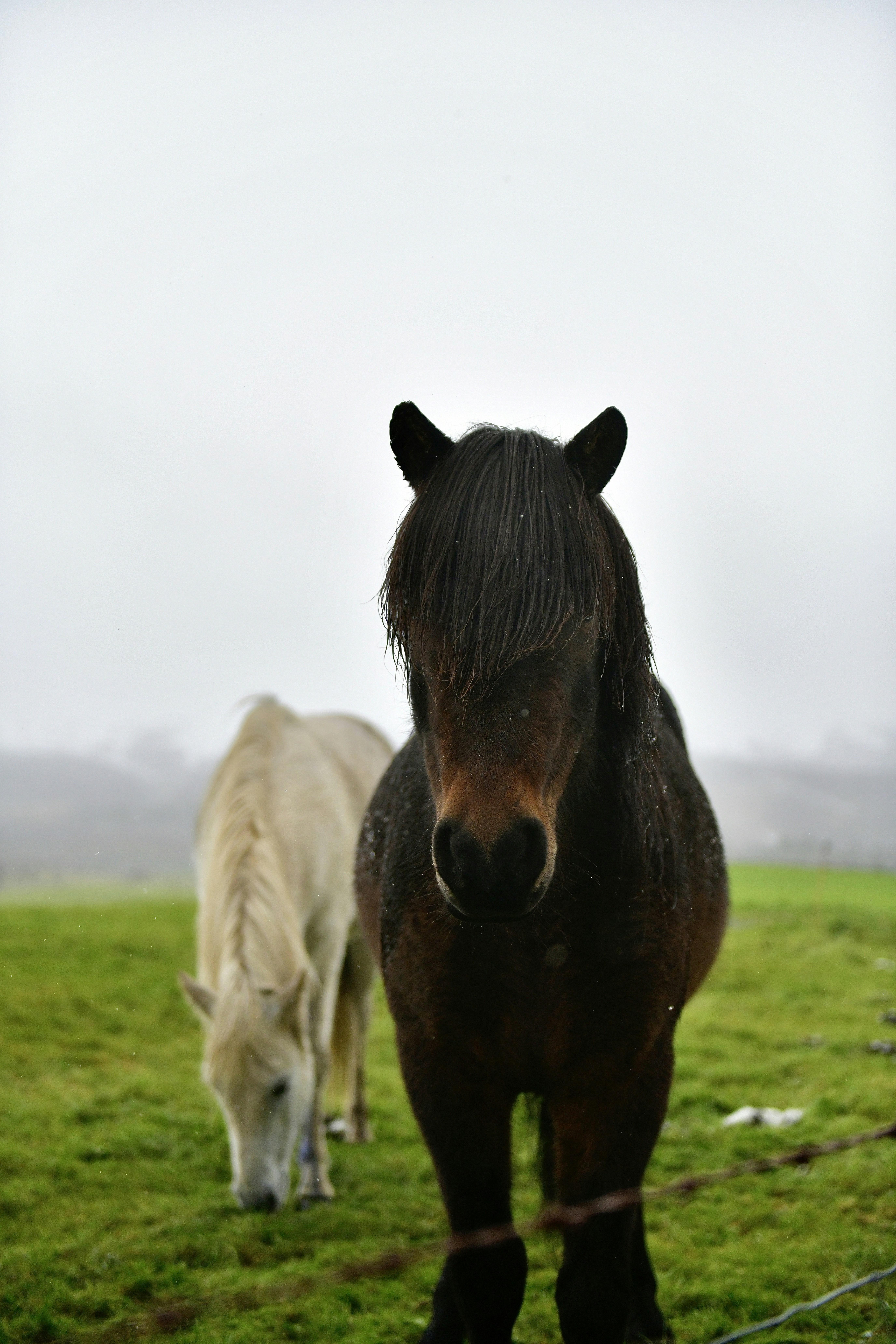 Photo by hlandkammer