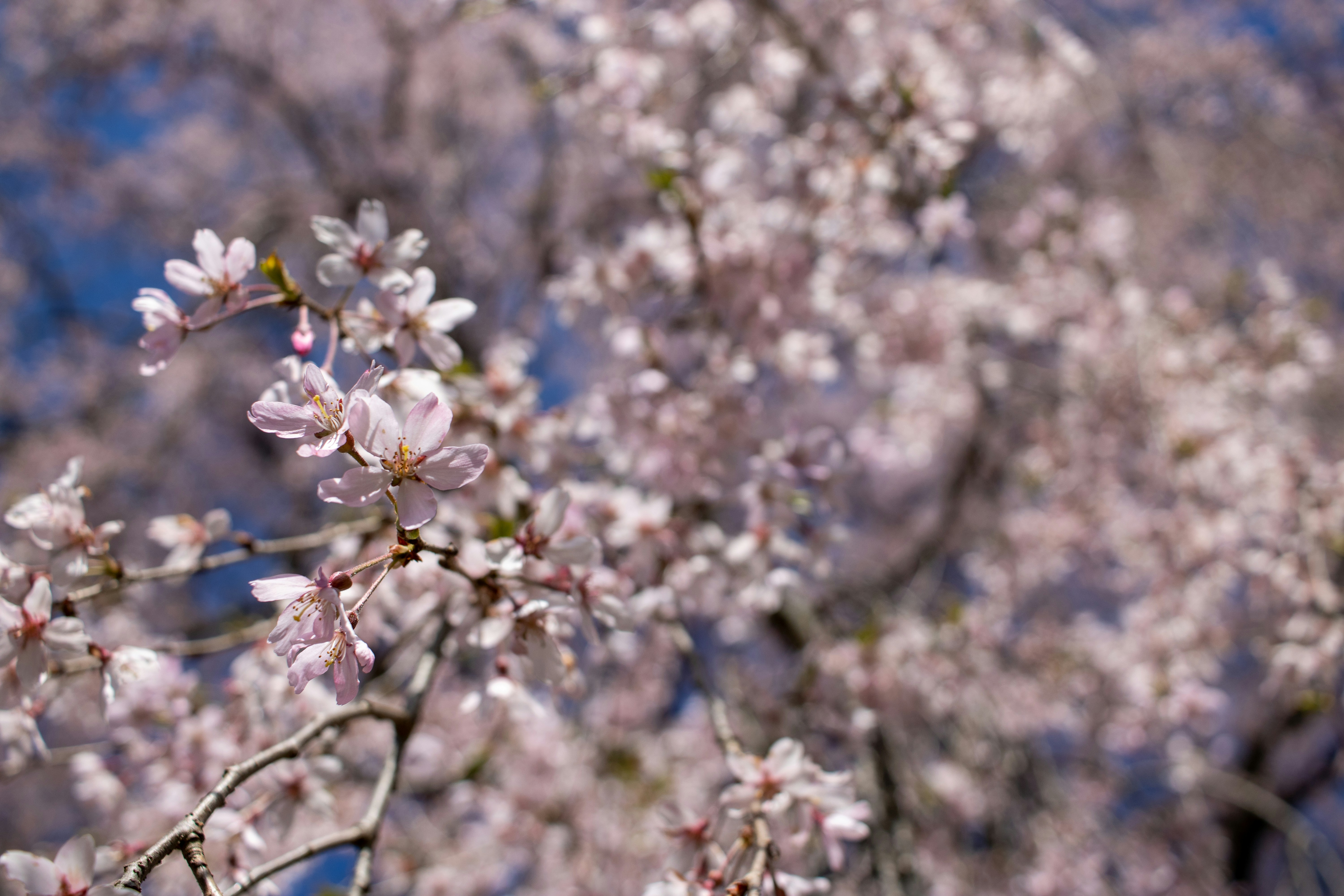 Photo by peterbbryan