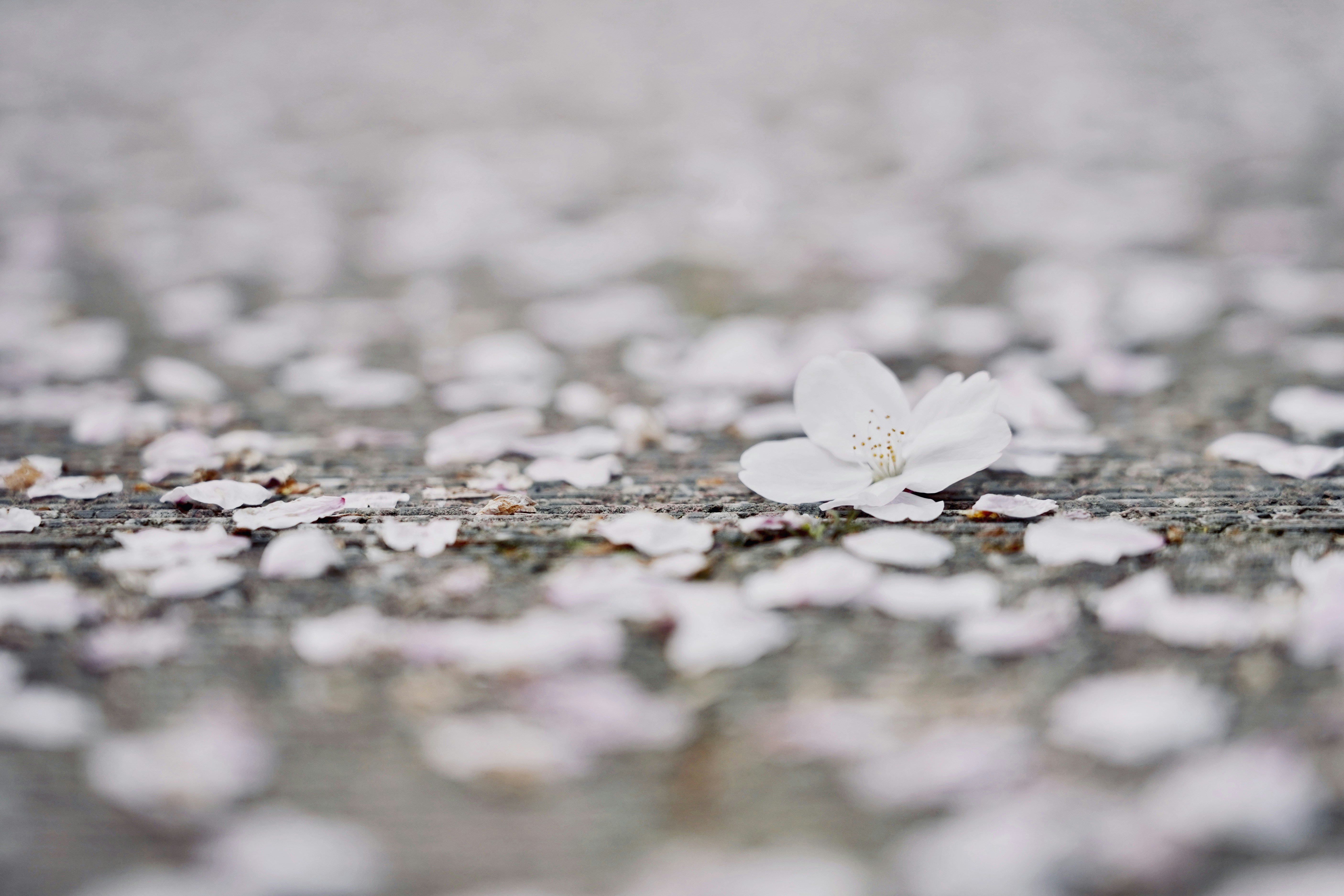 Photo by fredericksail