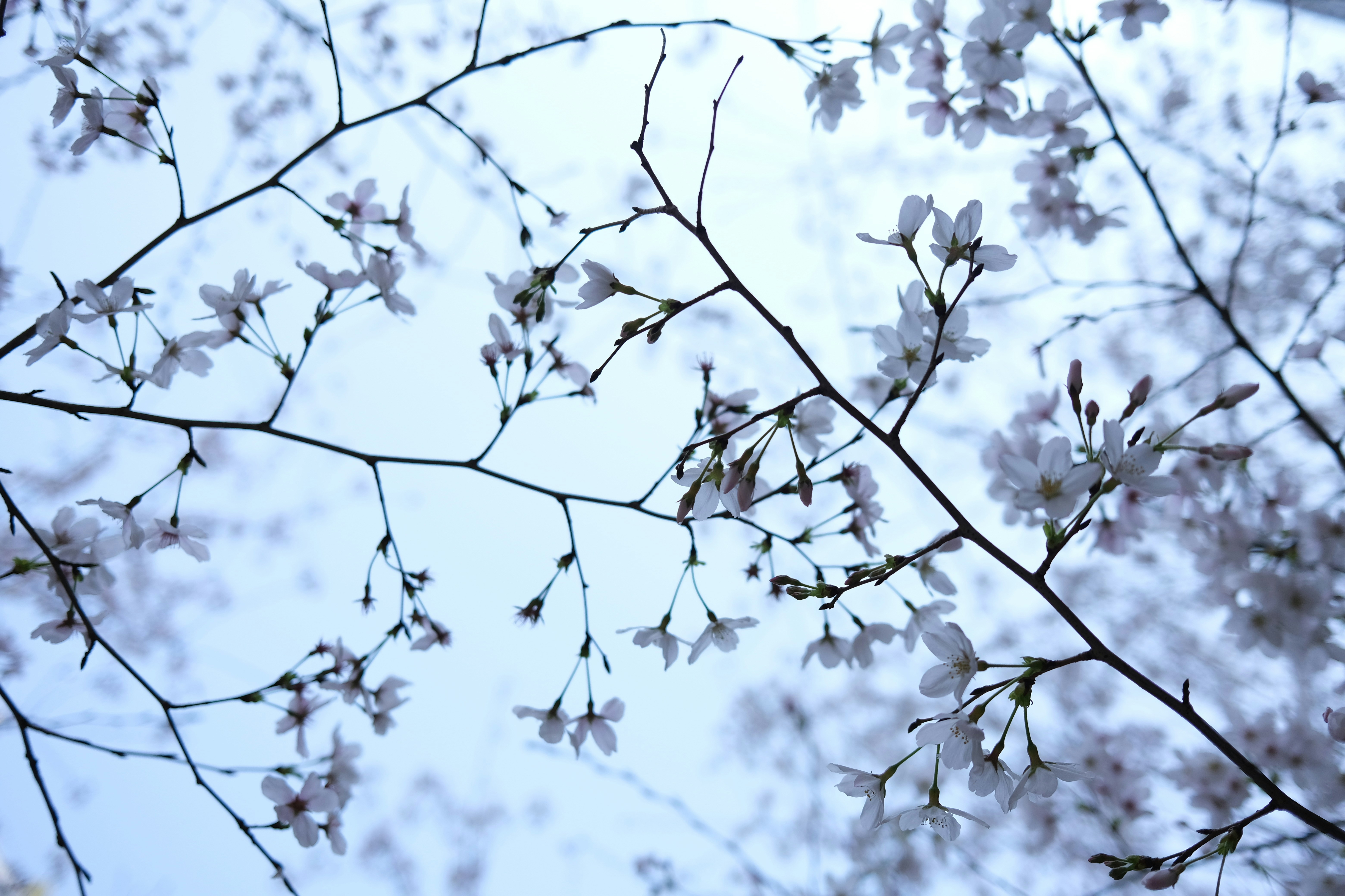 Photo by fredericksail