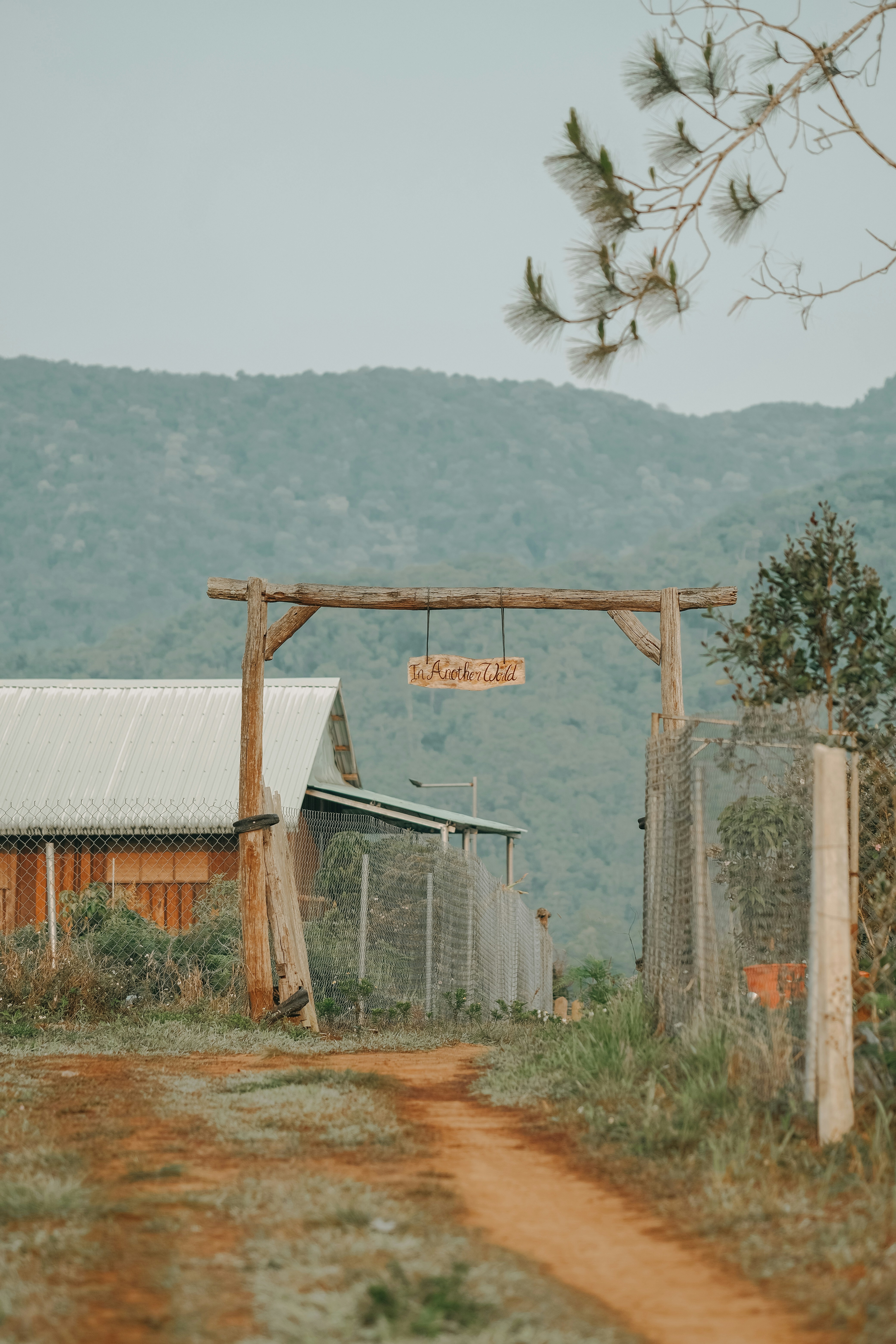 Photo by nguyentrungnguyen