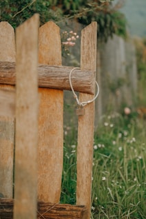 A rustic wooden fence has a simple lock with a cable attached to it. The fence is part of a garden, with greenery and small white flowers in the background. The scene has a natural and rural ambiance.
