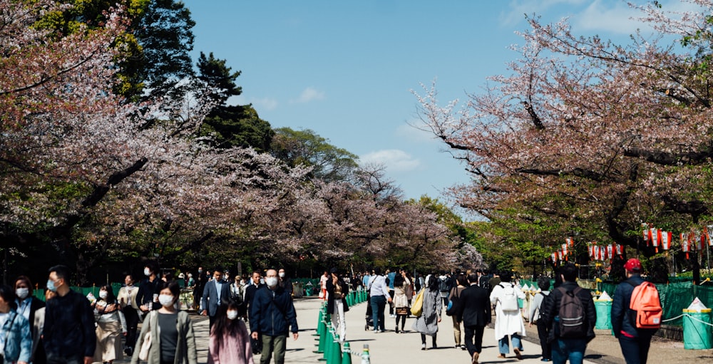 a group of people walking down a street next to trees