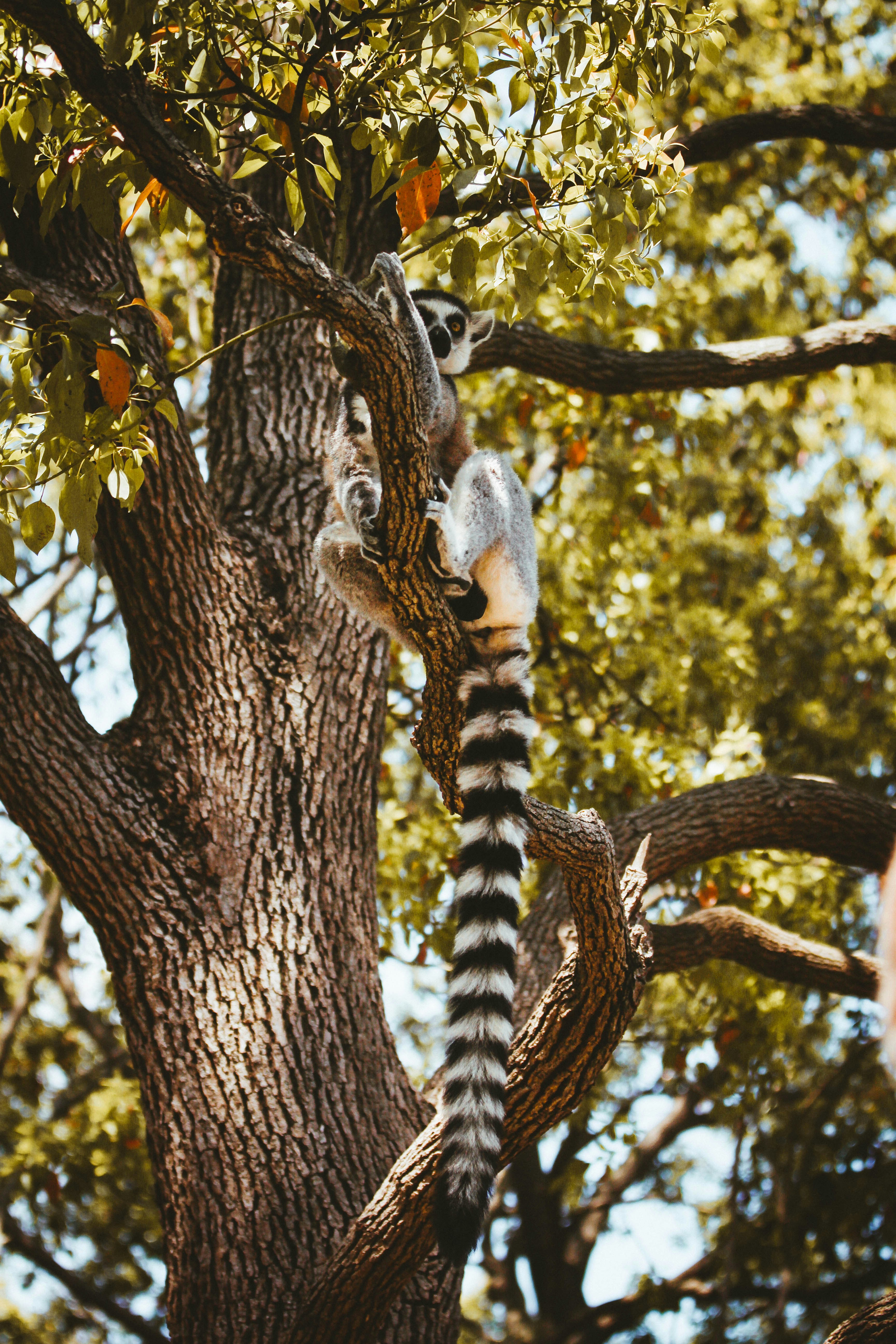 Photo by litemessmor