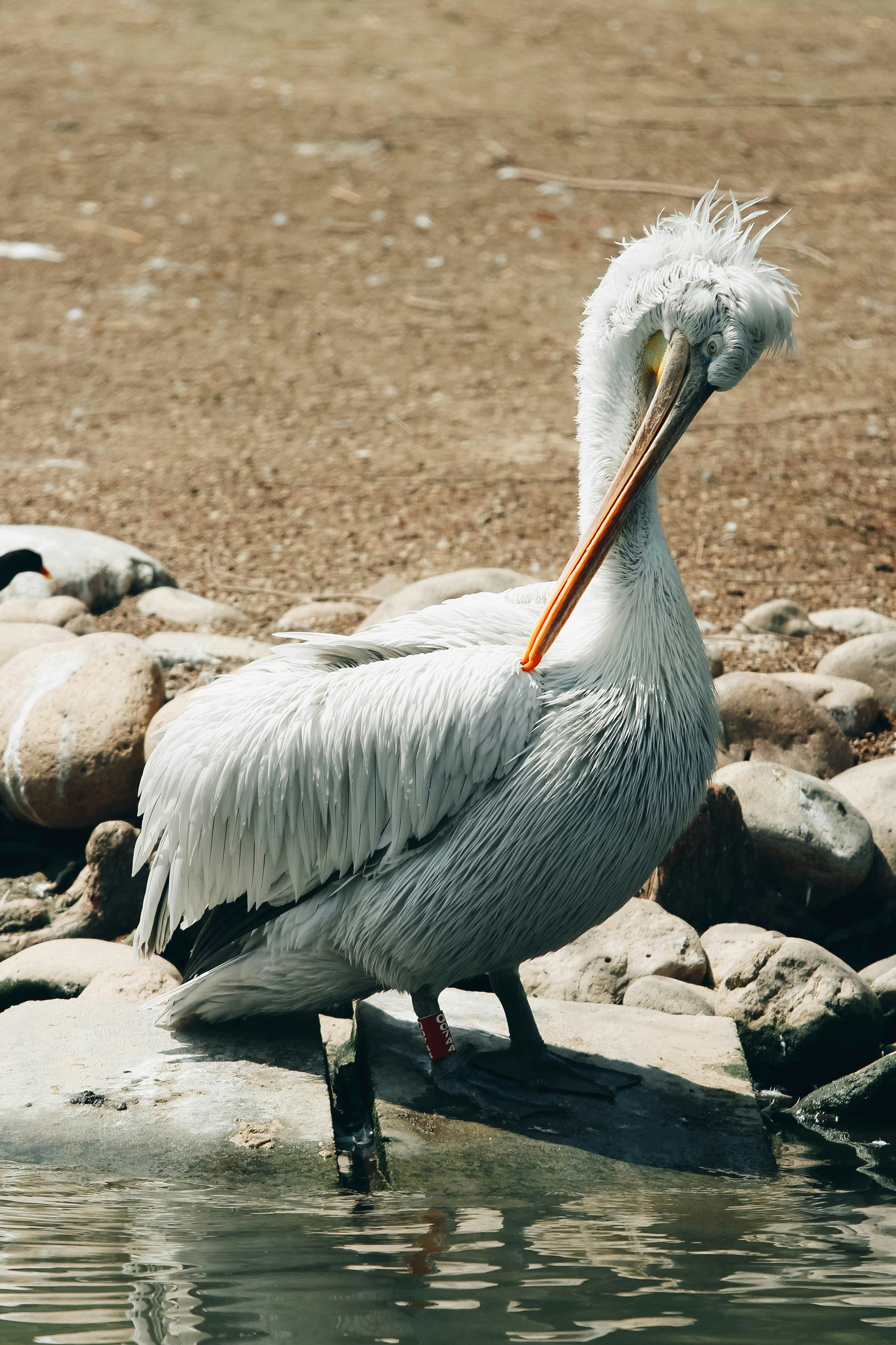 Photo by litemessmor