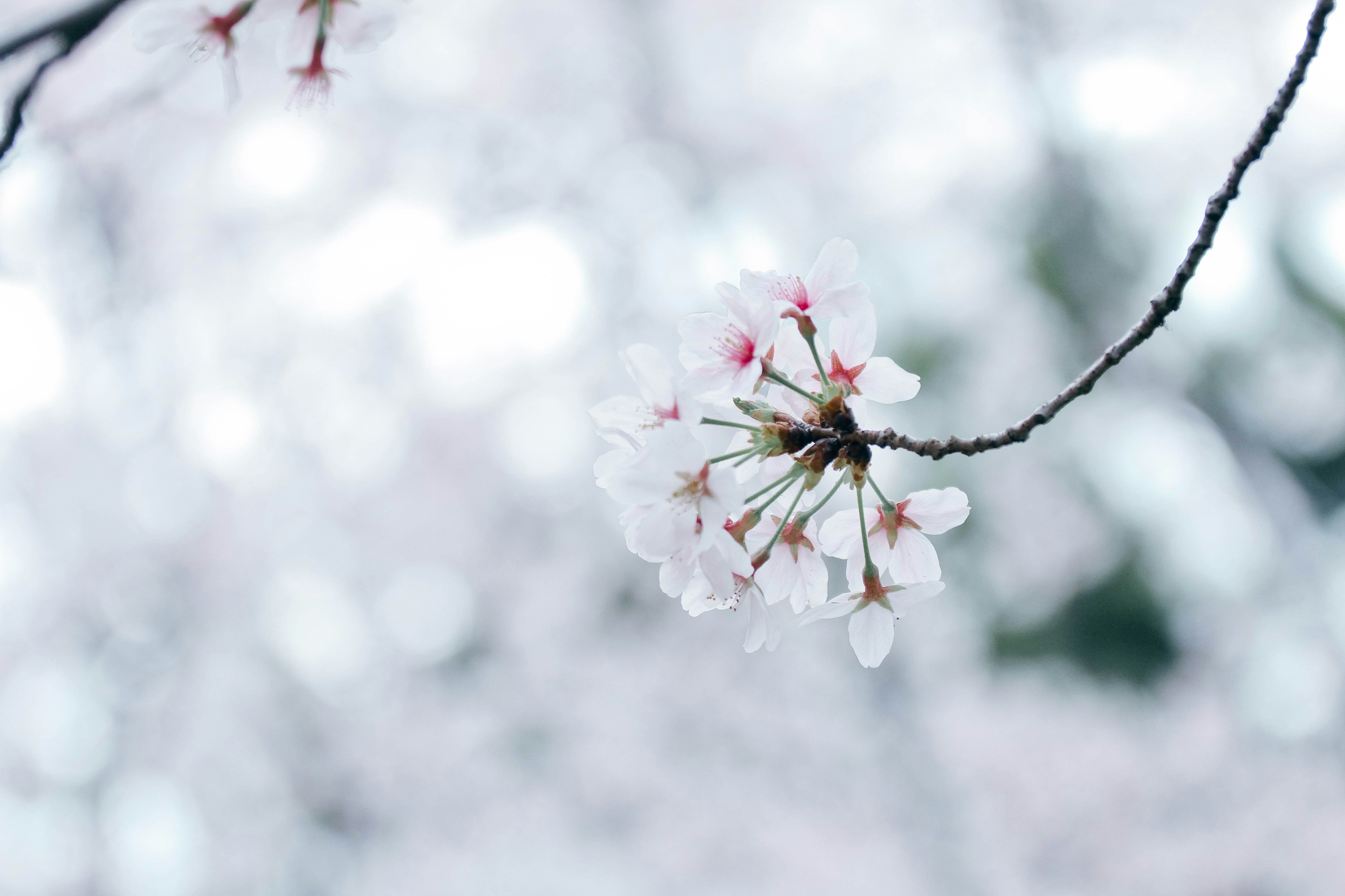 Photo by litemessmor