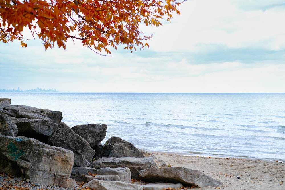 a bench sitting on top of a sandy beach next to the ocean