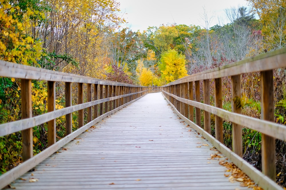 a wooden bridge surrounded by lots of trees