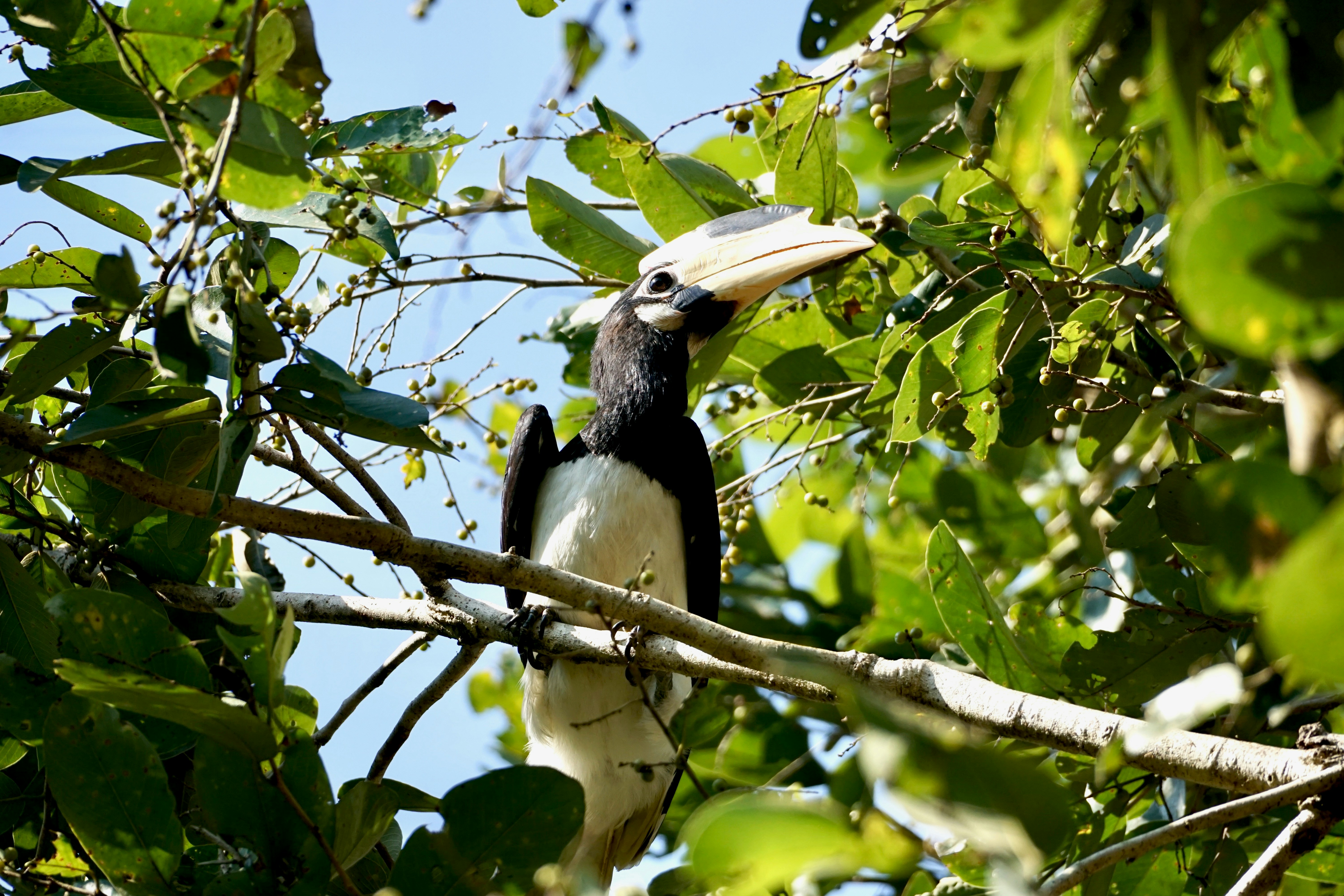 Photo by aryatulsyan