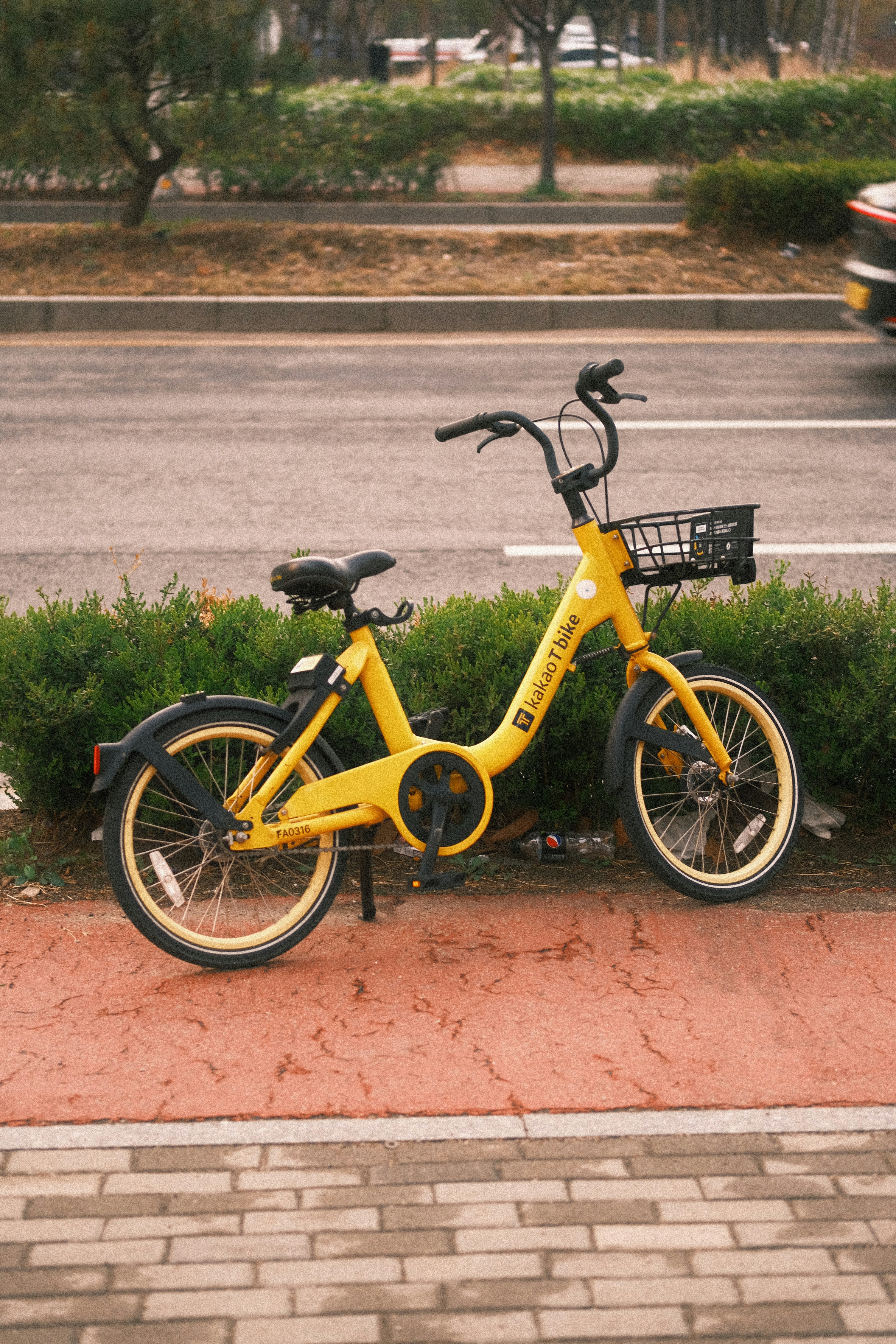 Rent Your Essentials Easily