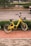 A yellow rental bicycle with a black basket is parked on a red pedestrian pathway near a street with a low hedge in the background. The bicycle is positioned against a backdrop of green foliage and a paved road, while a partially blurry car is visible driving by.
