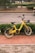 A yellow rental bicycle with a black basket is parked on a red pedestrian pathway near a street with a low hedge in the background. The bicycle is positioned against a backdrop of green foliage and a paved road, while a partially blurry car is visible driving by.