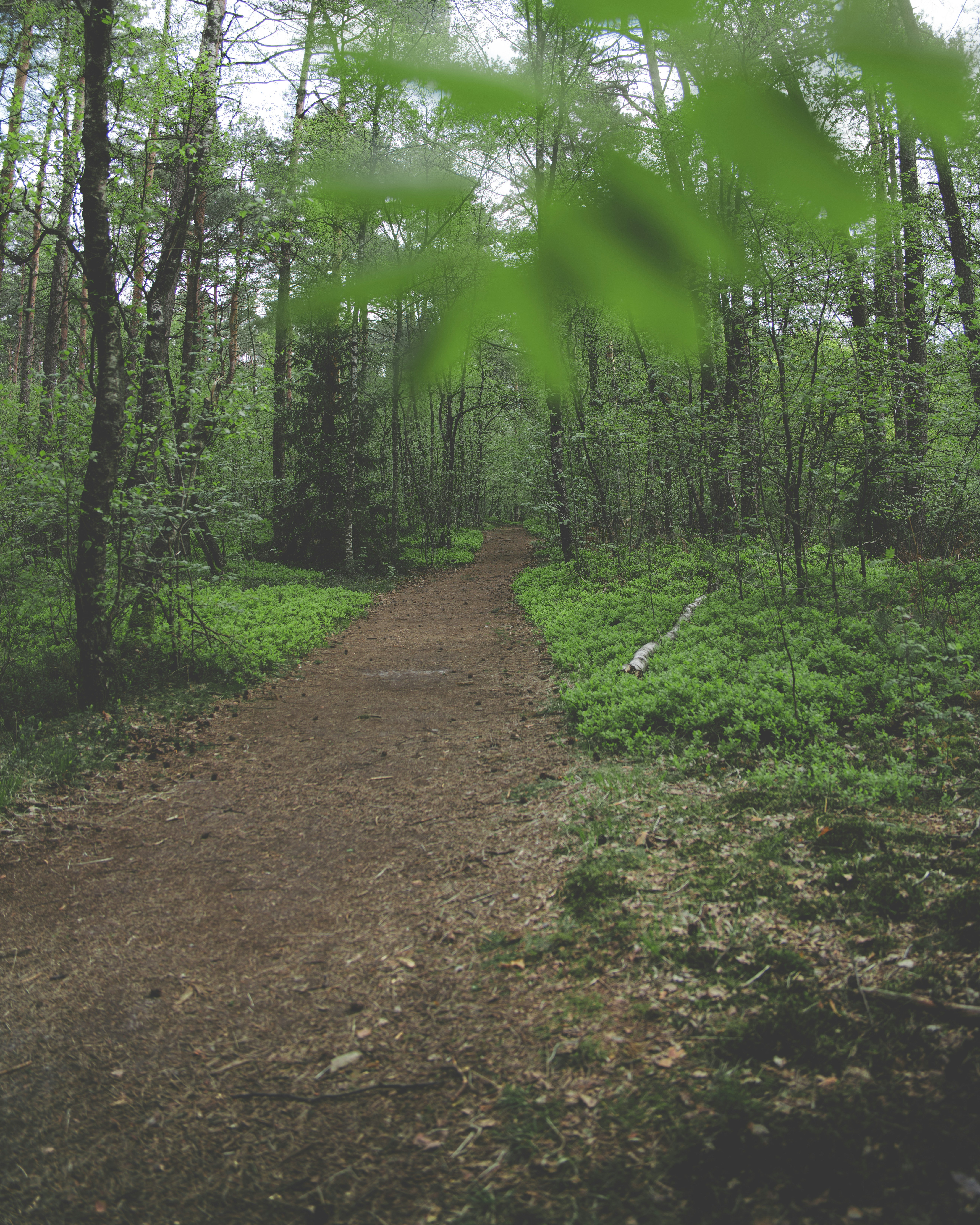 Photo by viklukphotography