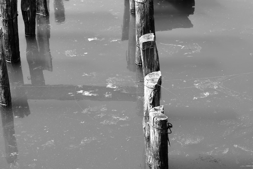 a black and white photo of some poles in the water