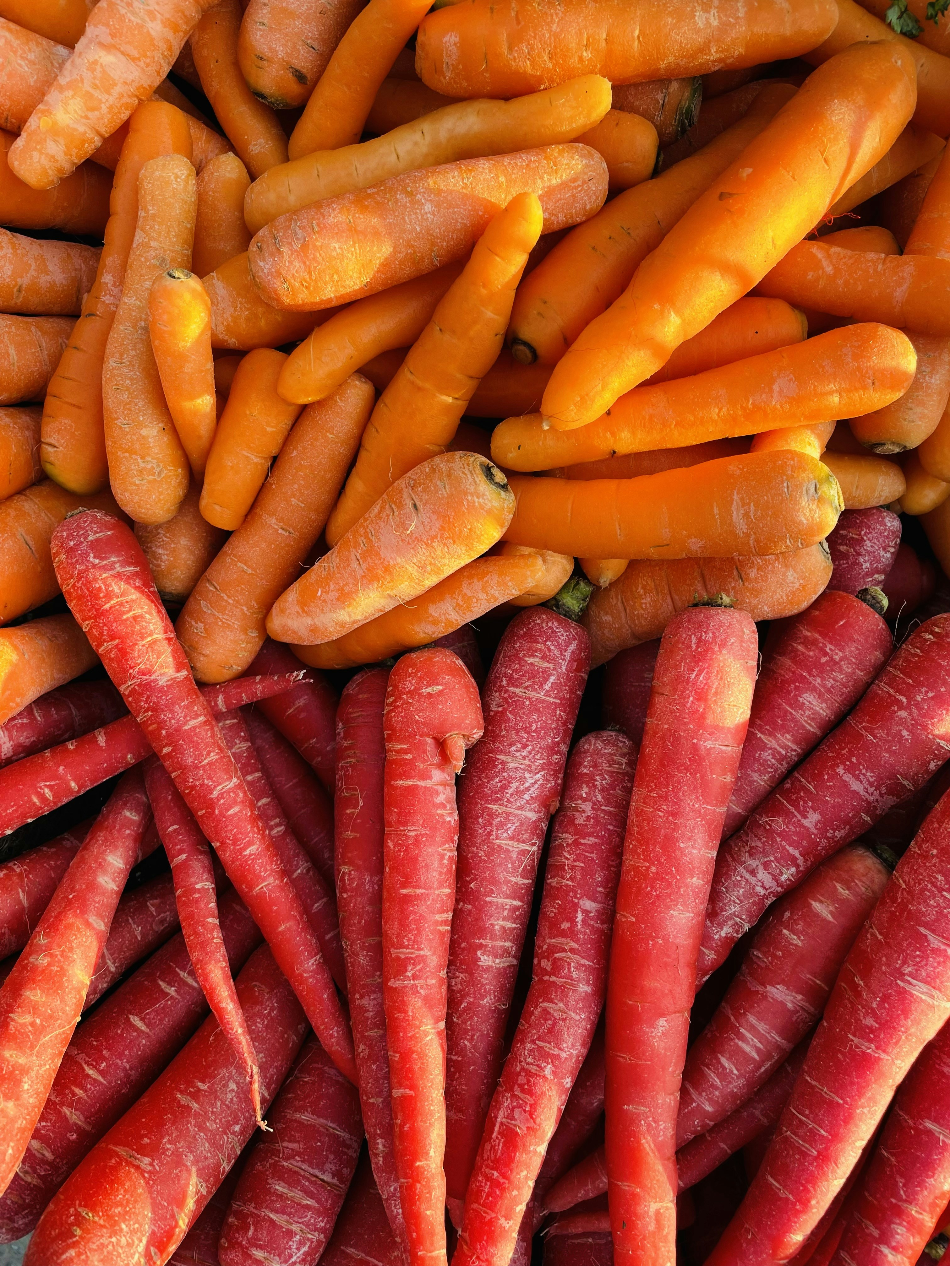 Fresh Organic Carrots