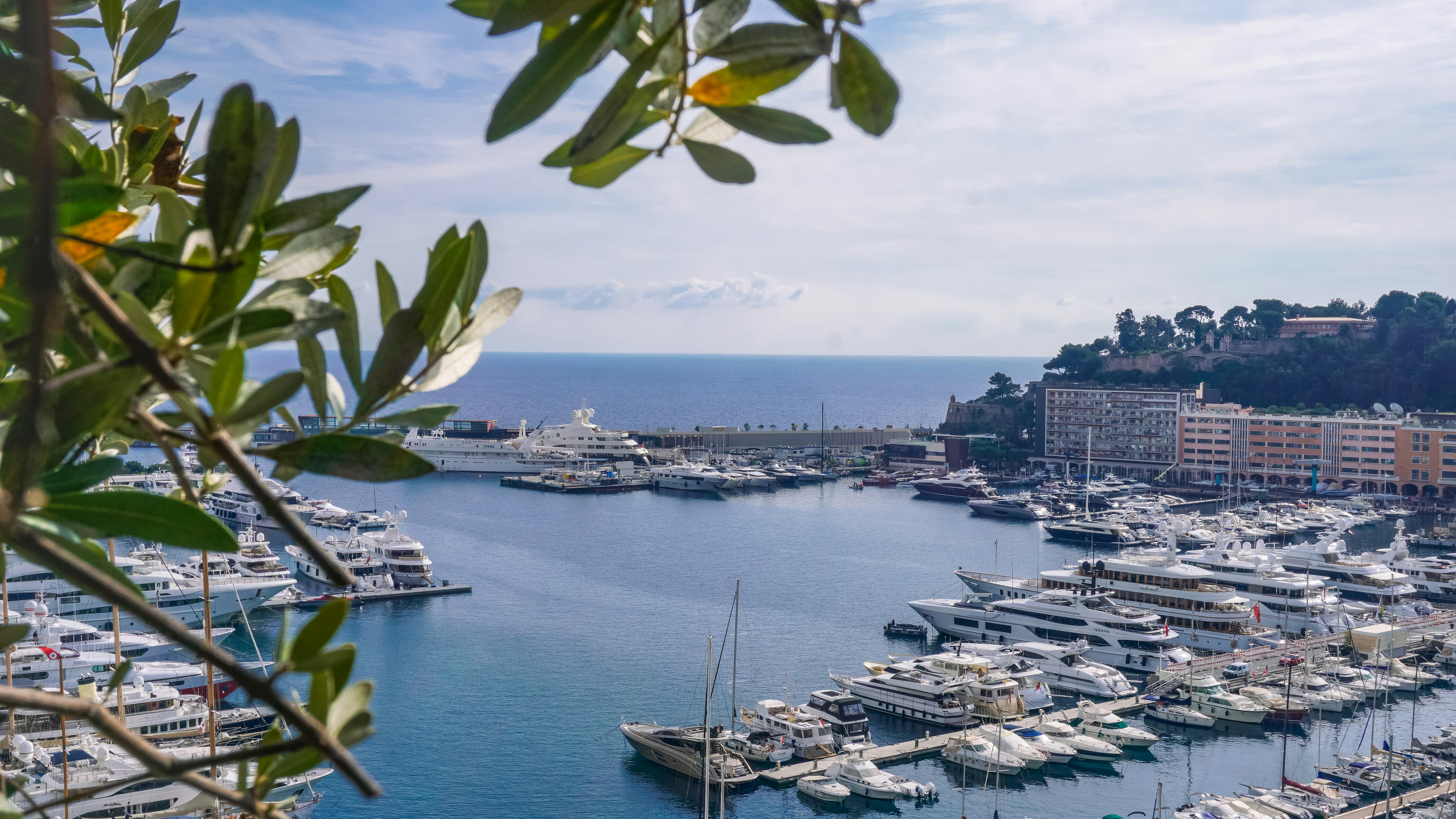 a marina filled with lots of white boats