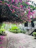 Pathway lined with vibrant flowers leading to the resort’s main entrance.