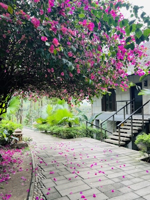 Pathway lined with vibrant flowers leading to the resort’s main entrance.