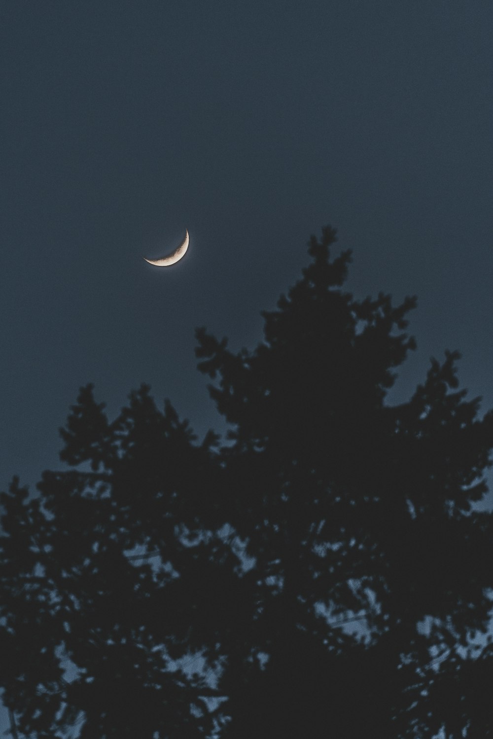 the moon is seen through the trees at night