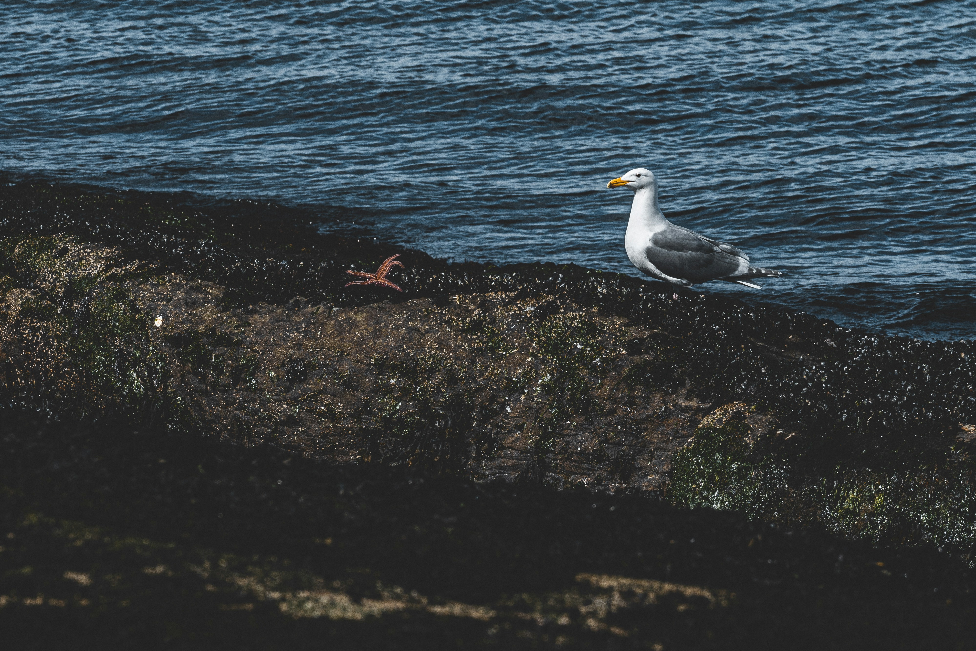 Photo by jaspergarrattphotography