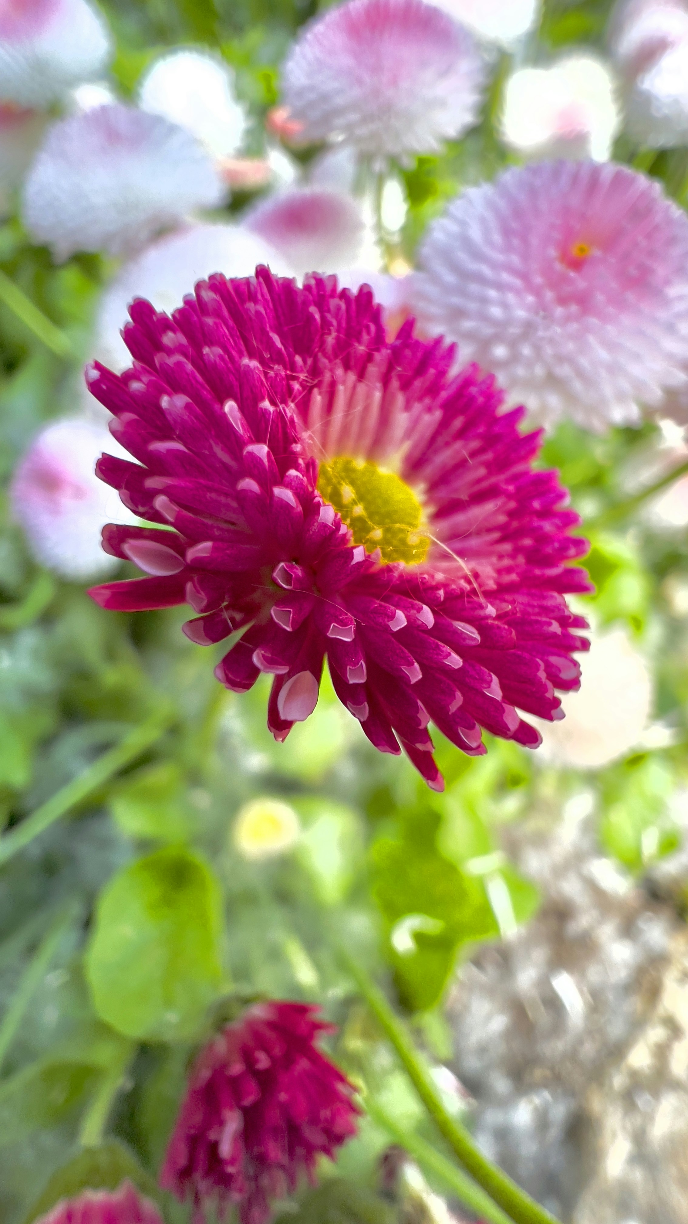 Photo by disconnecter